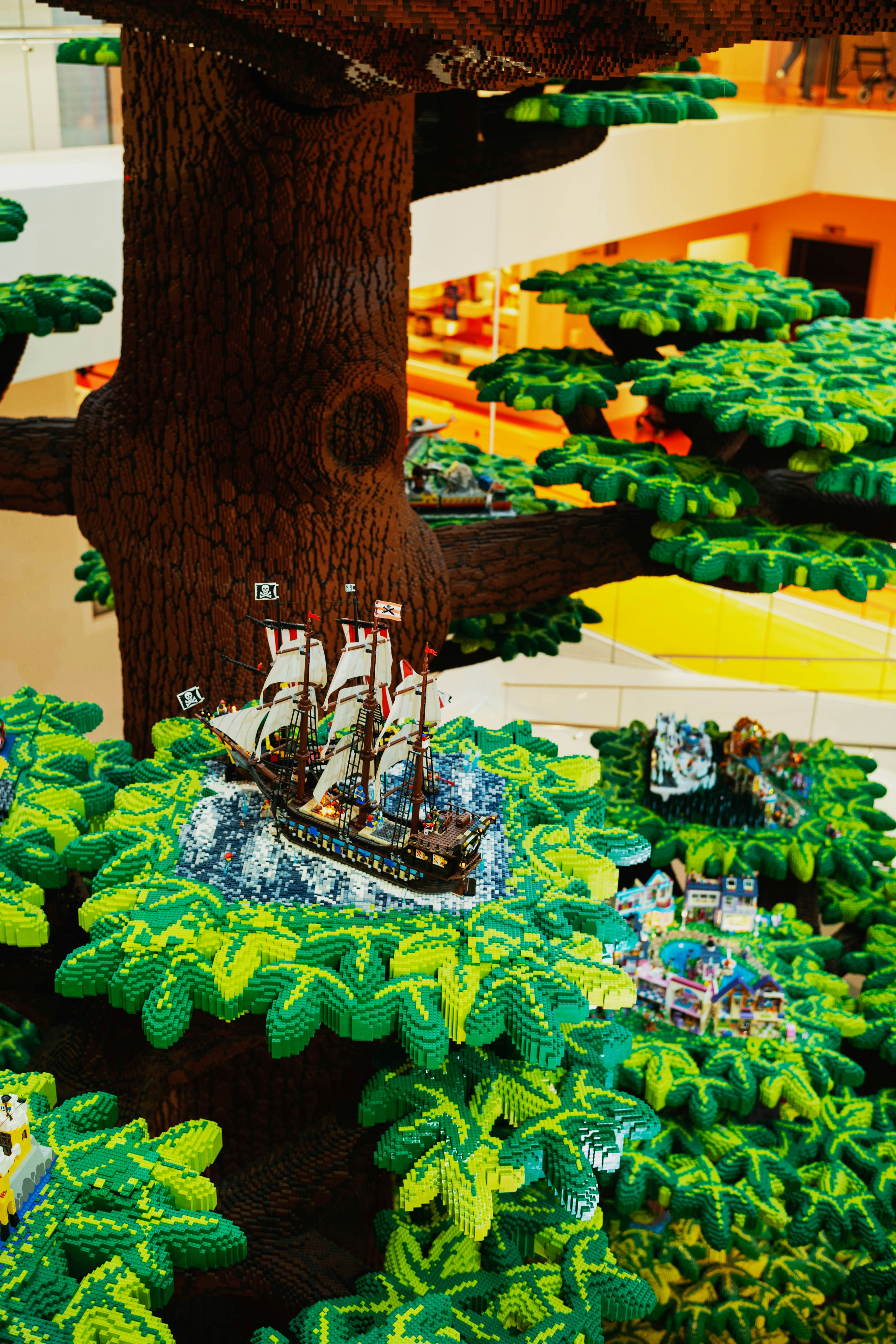 Photo by tommaomaoer