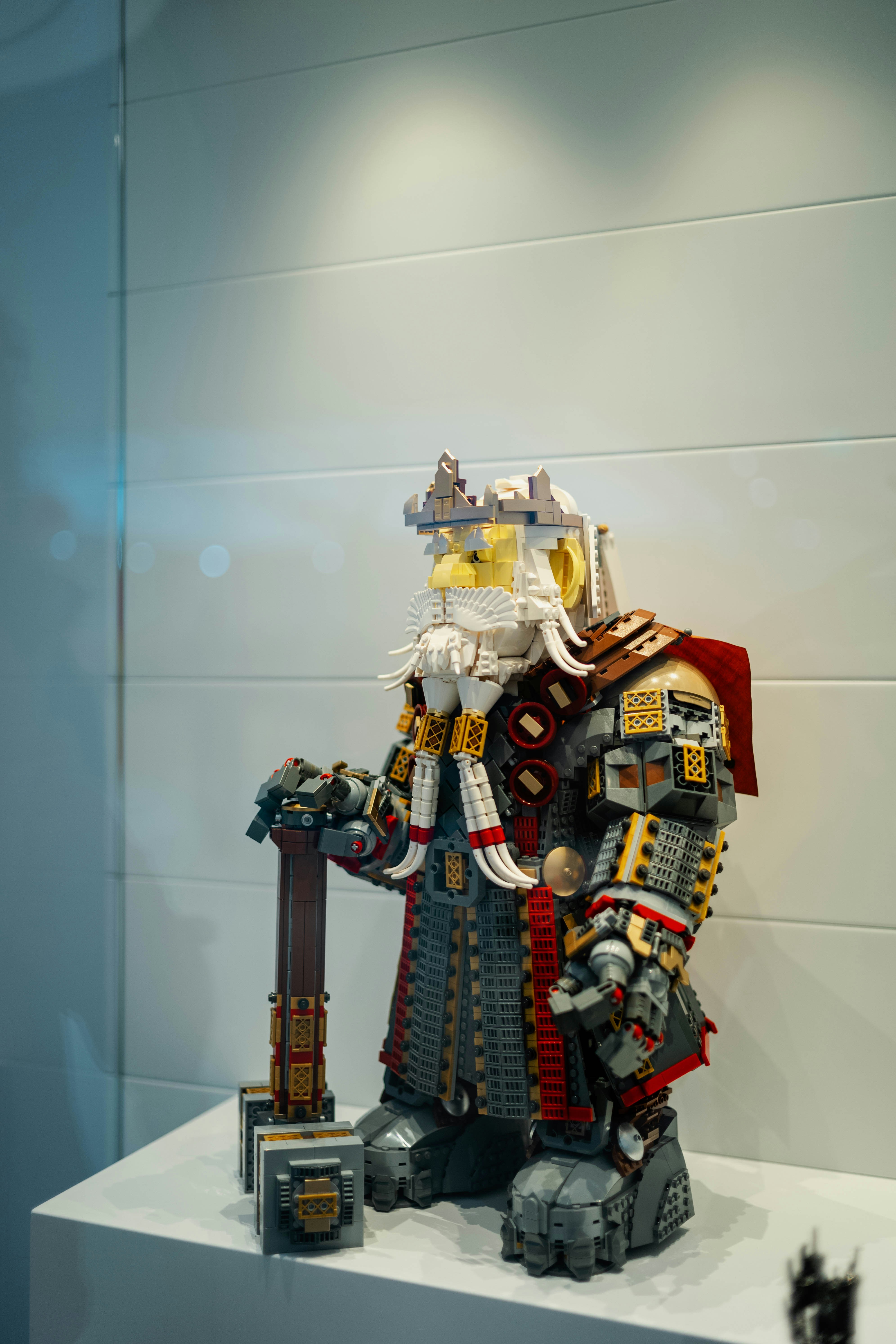 Photo by tommaomaoer