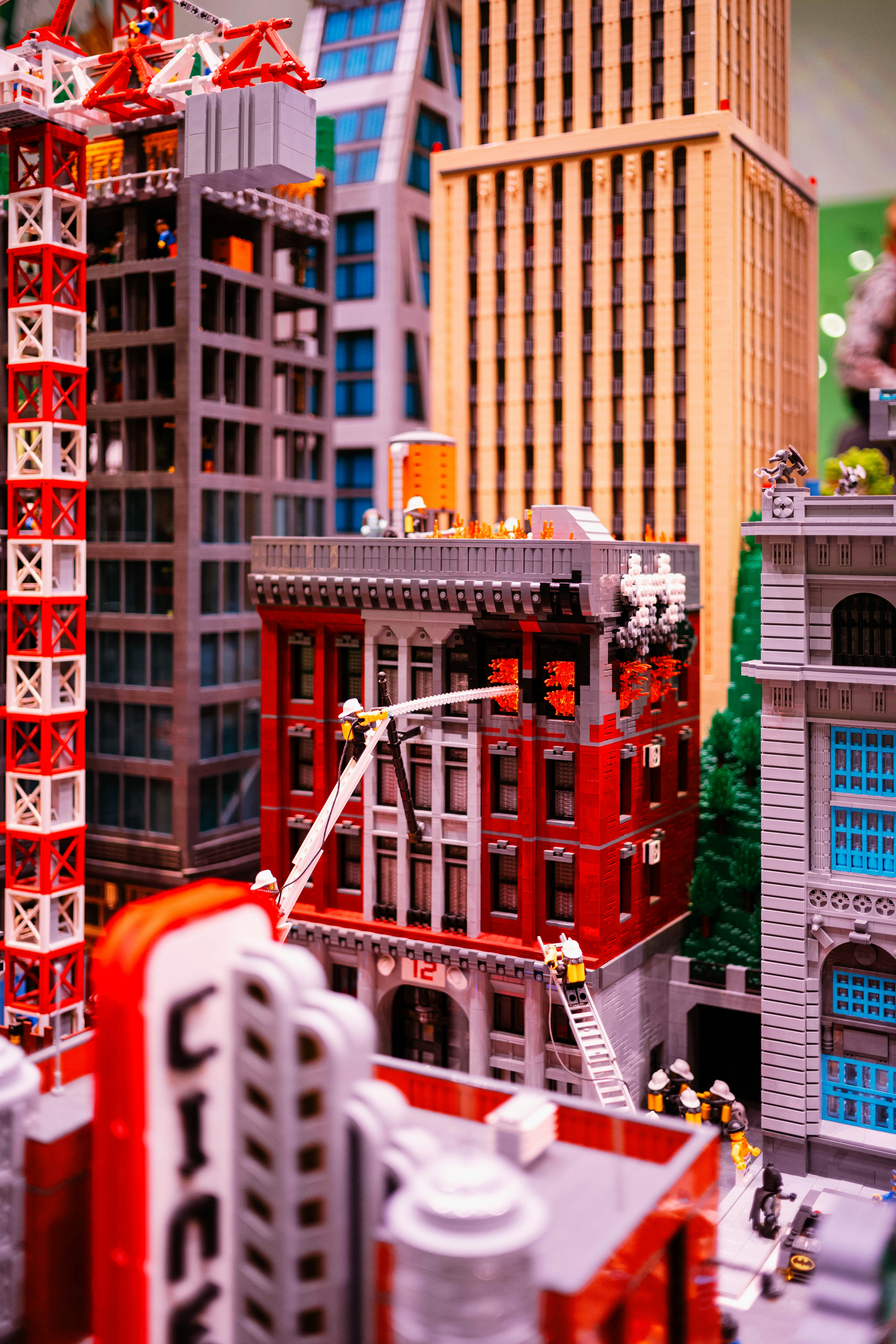 Photo by tommaomaoer