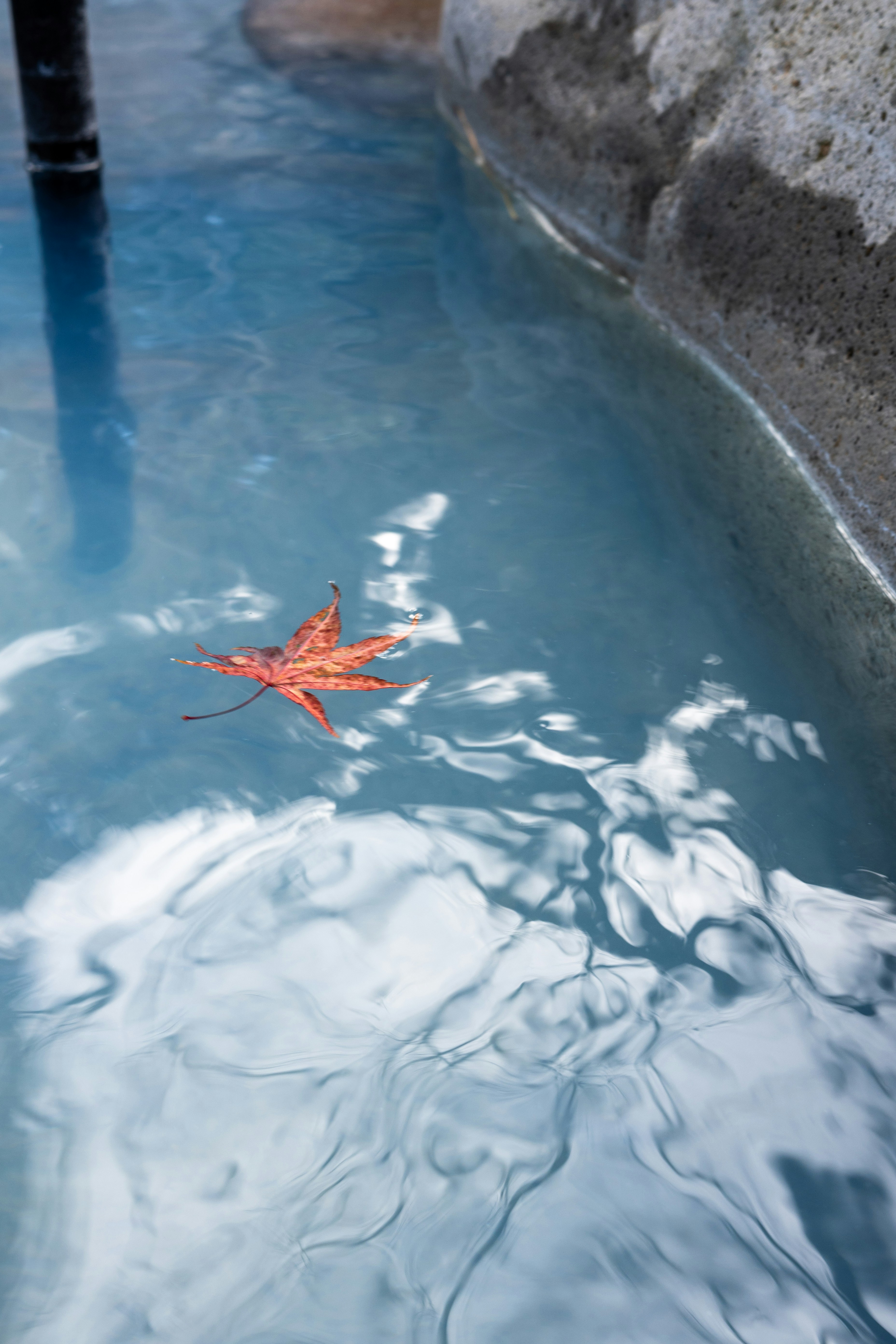 A solitary red maple leaf floats on milky-blue pool water beside a stone edge, creating a quiet moment of contrast.