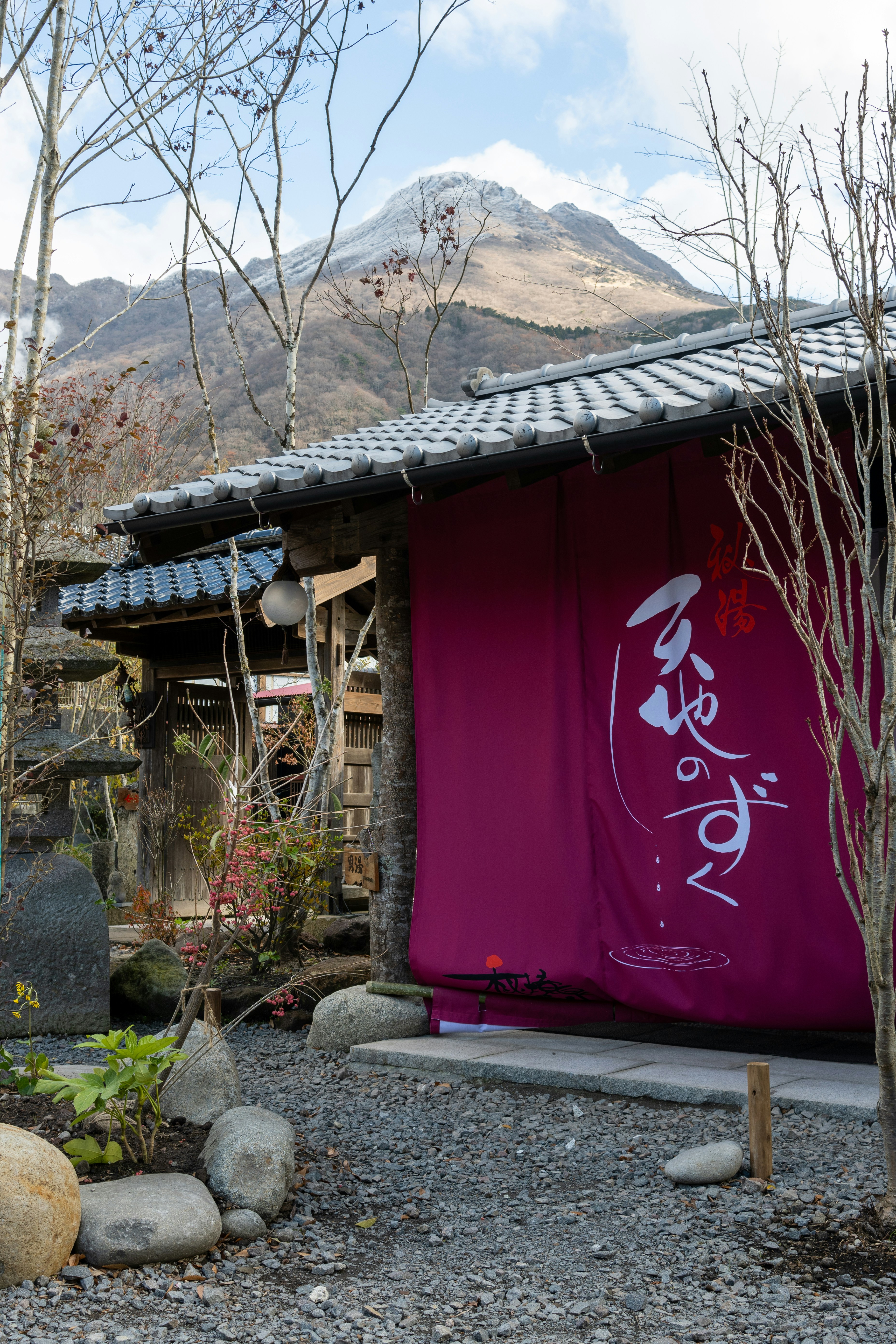 Chen Garden Restaurant Menu