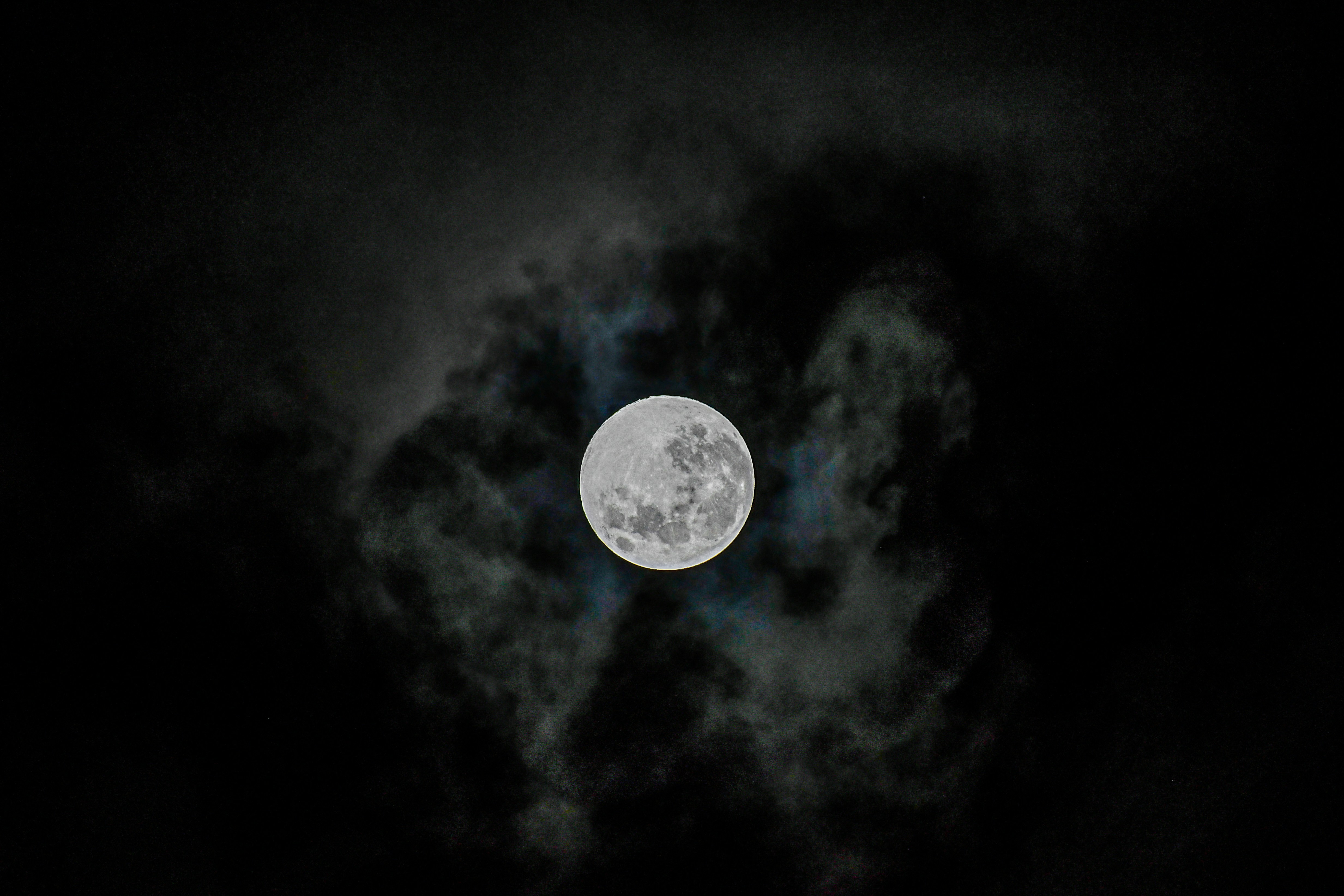 Photo by baltasarhenderson