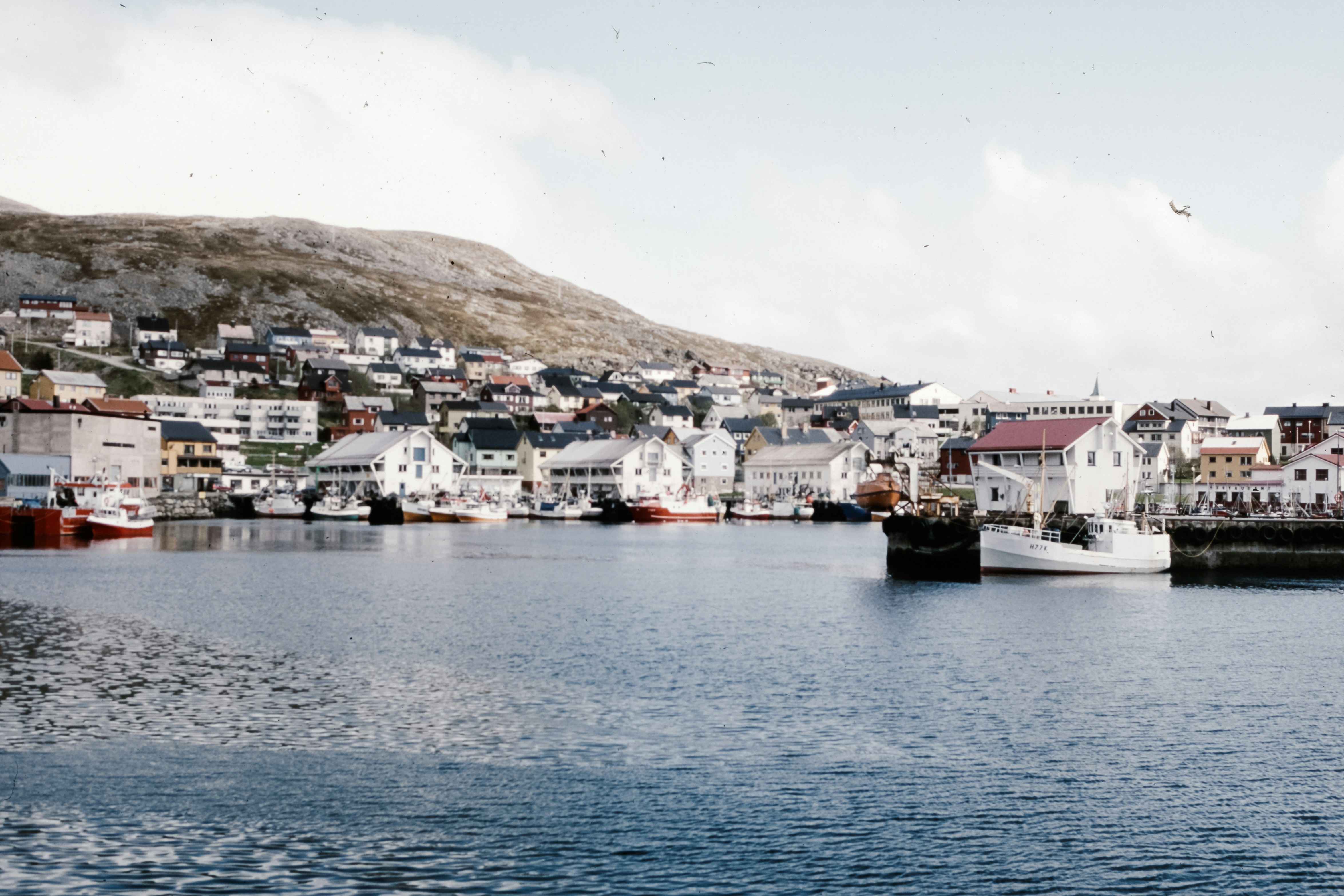 Photo by anniespratt