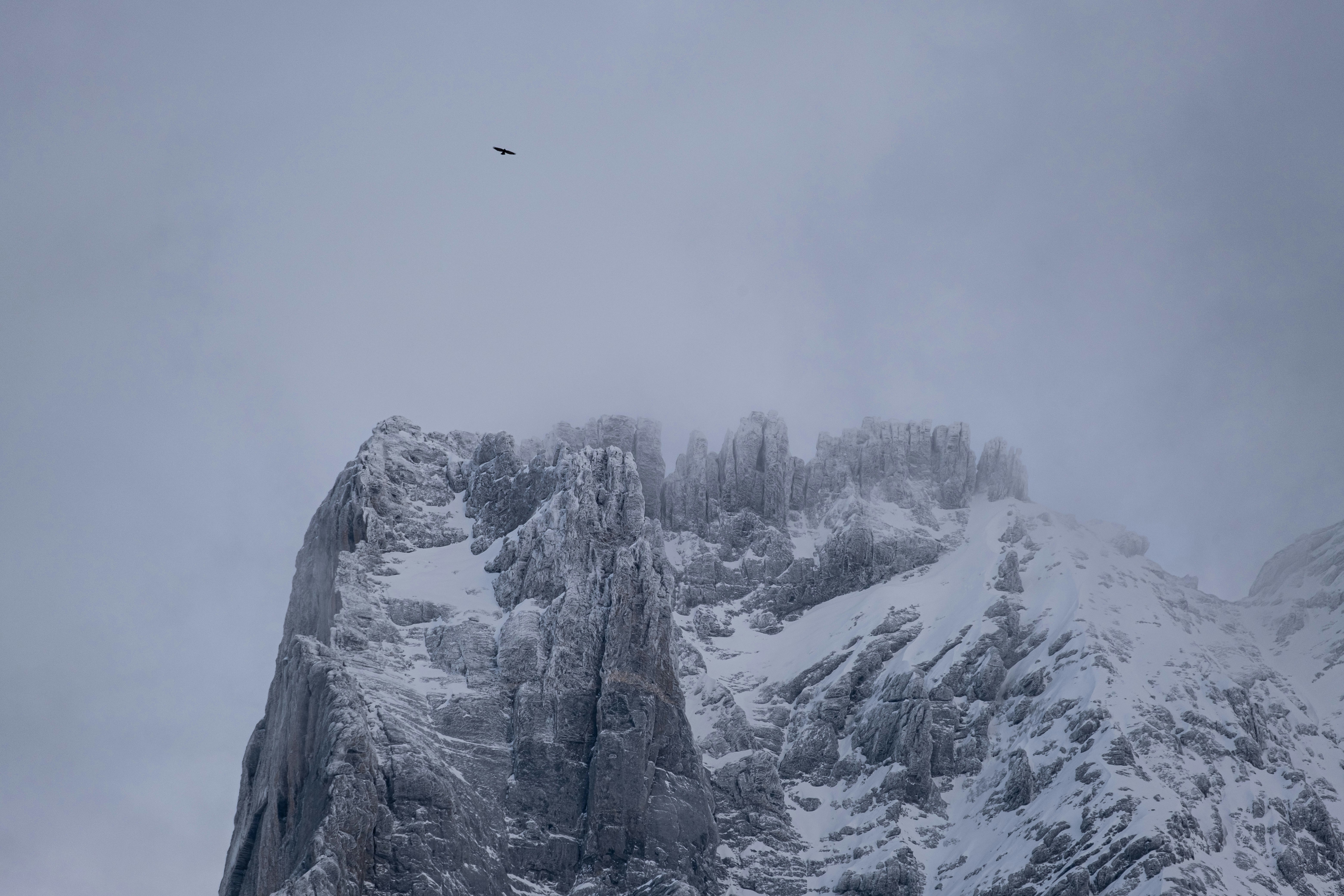 A mountain covered in snow with a bird flying over it