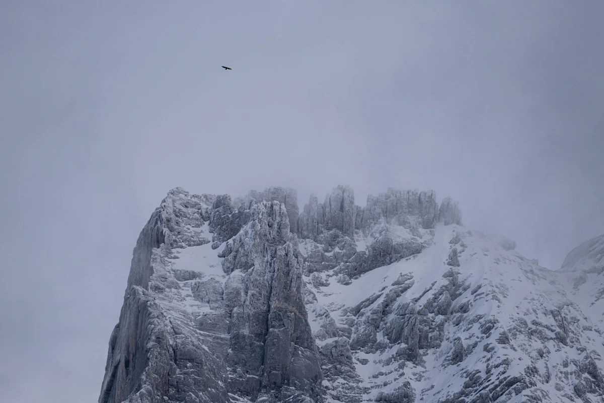 A snowed-in summit ridge in the clouds with a bird above it