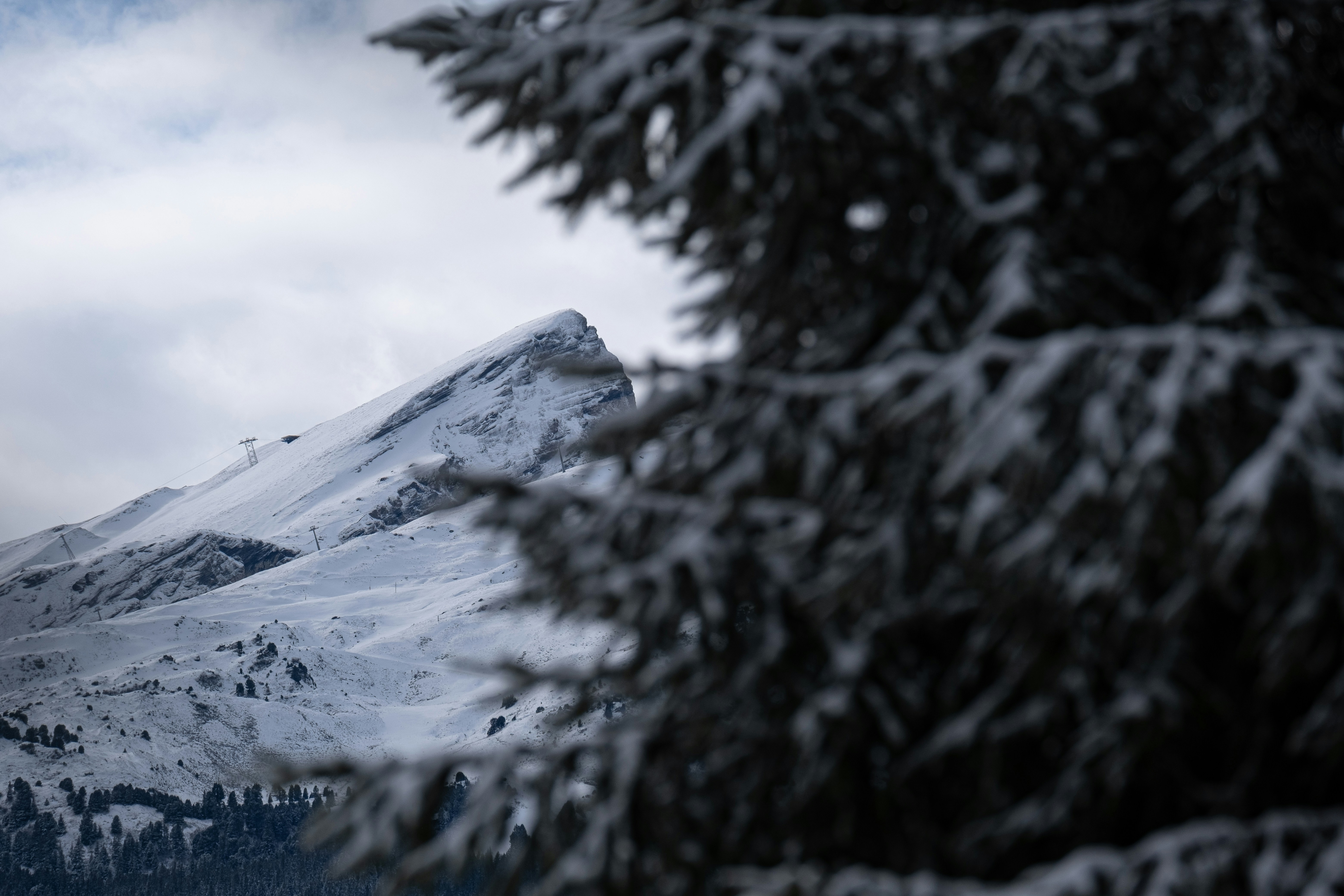 A snow covered mountain with trees in the foreground