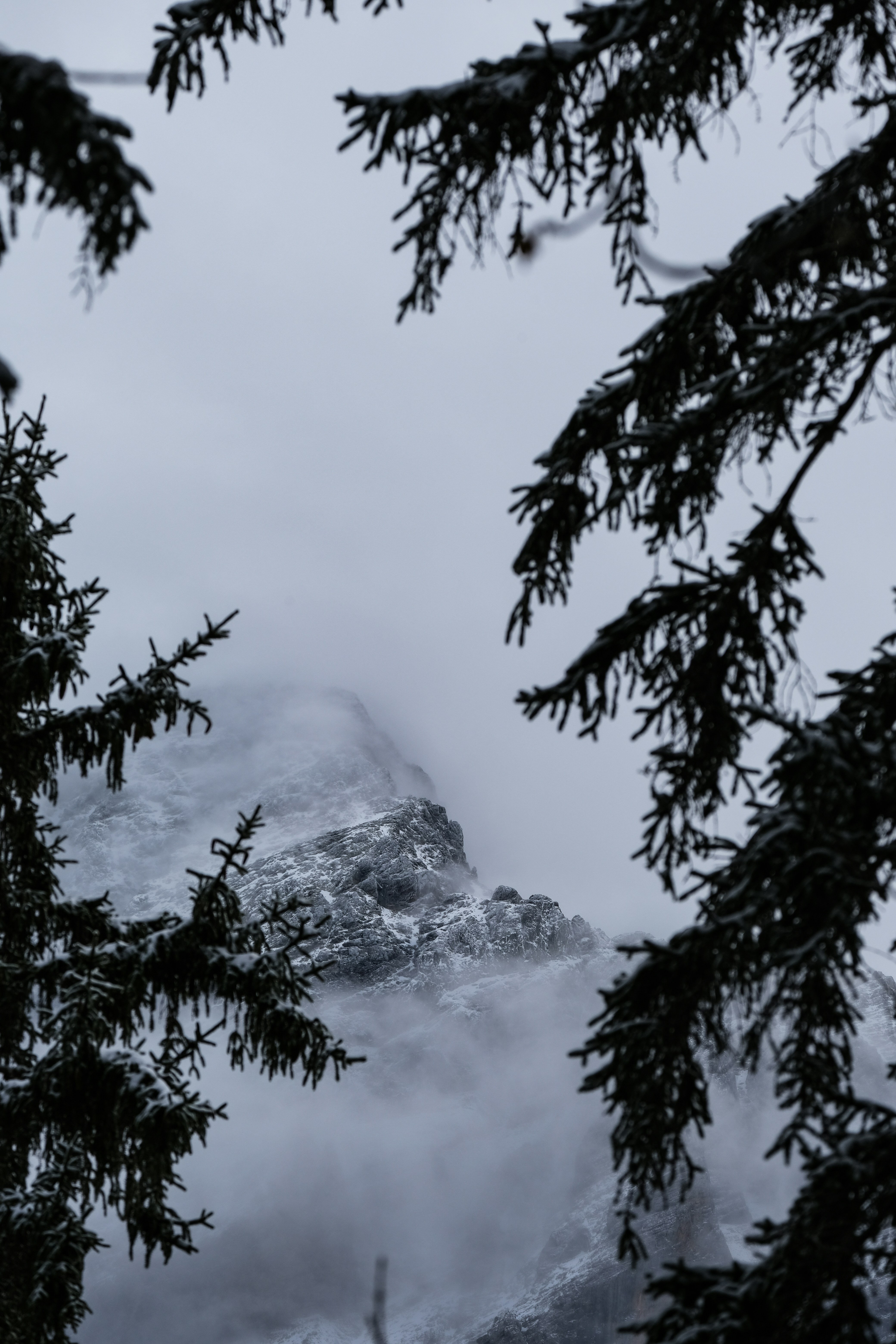 A view of a mountain through the branches of a tree