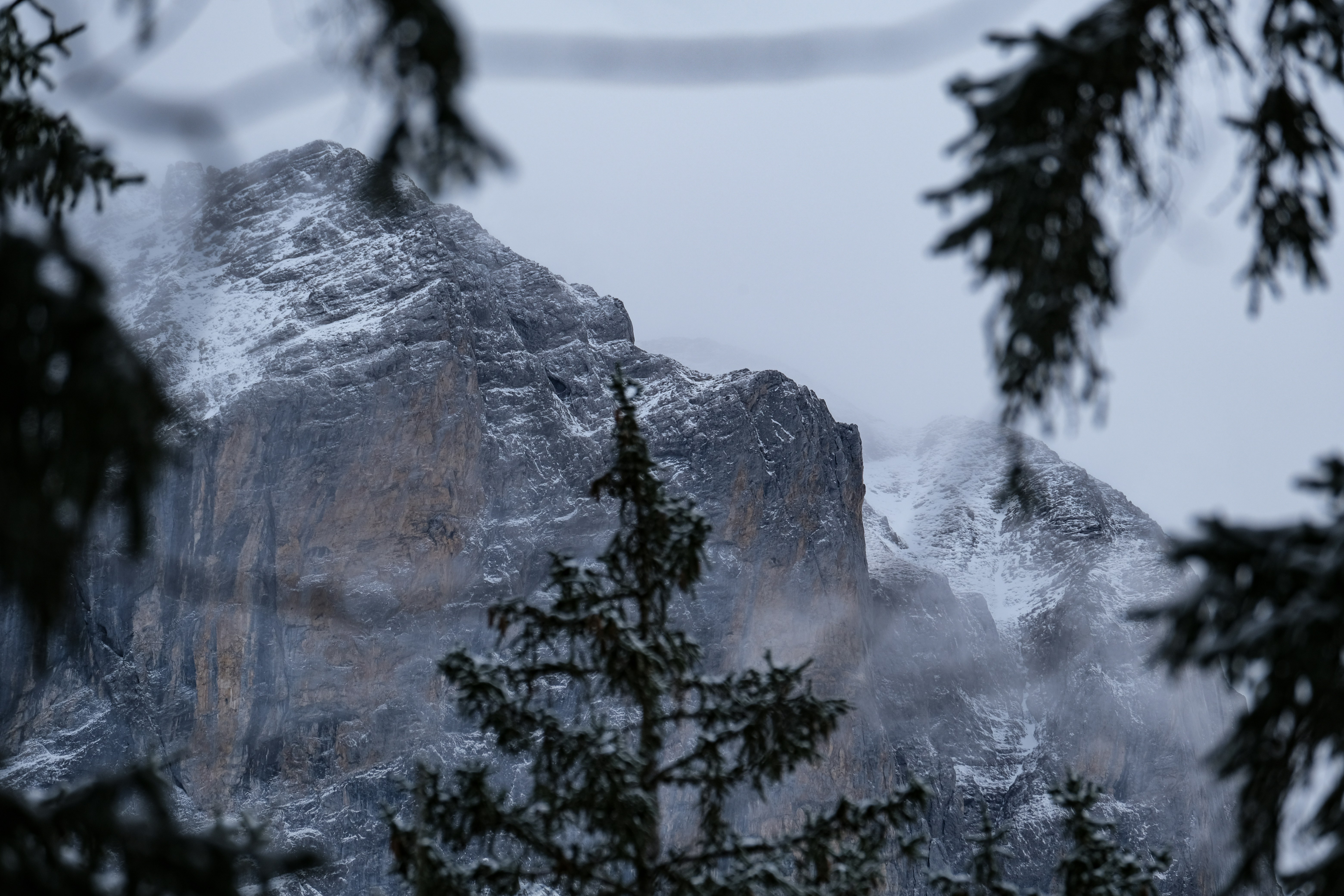 A view of a snowy mountain through the branches of a tree