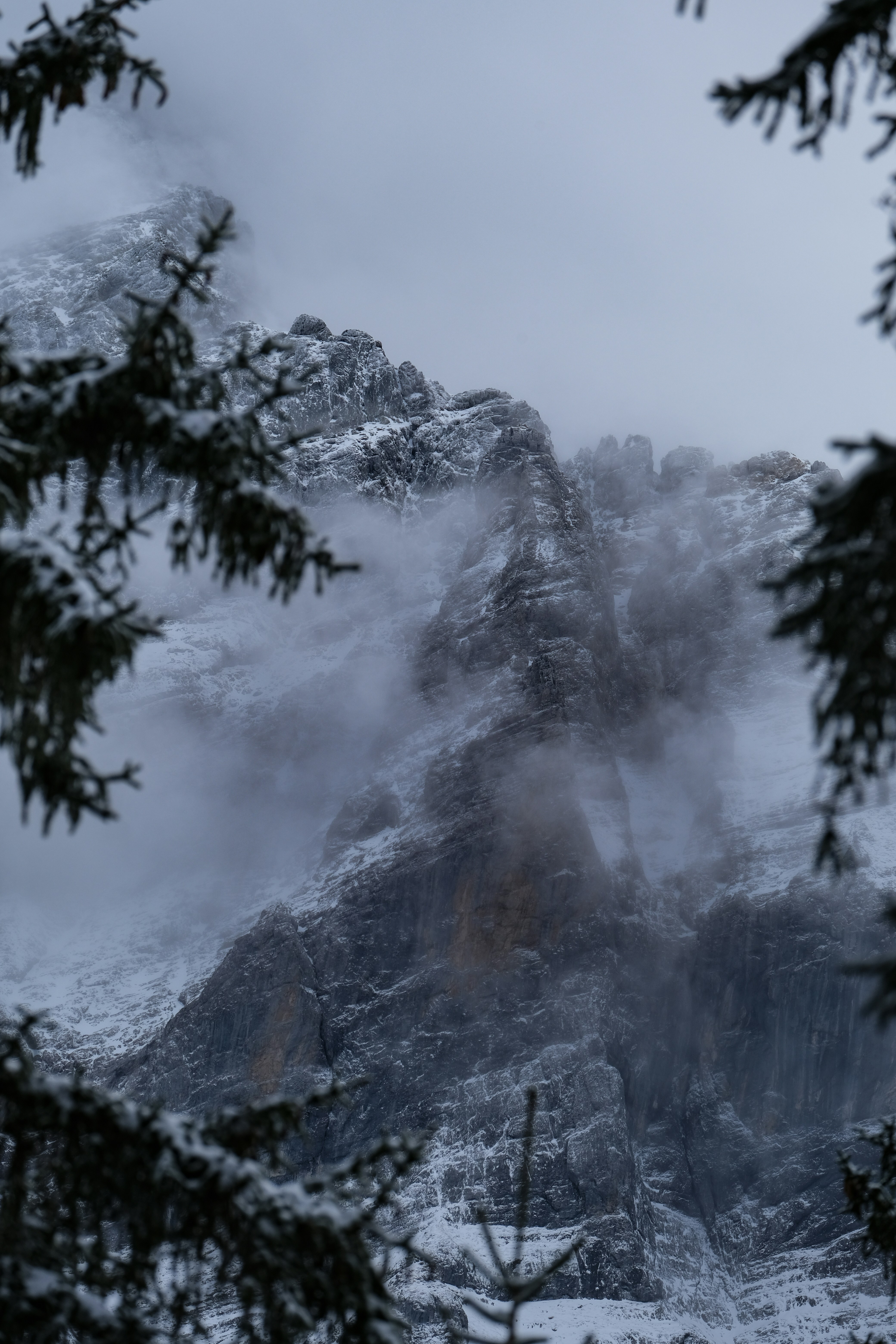 A mountain covered in snow surrounded by trees