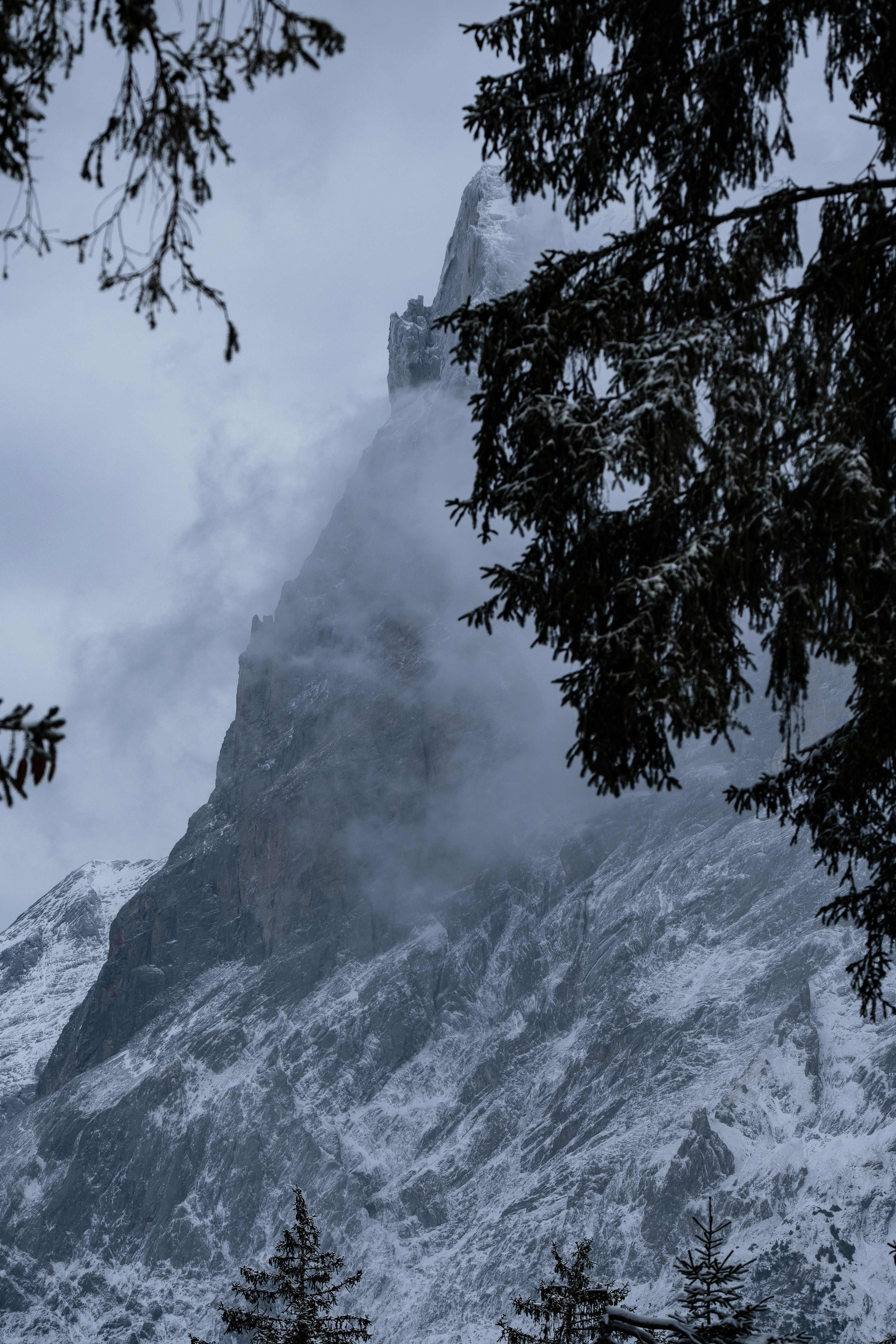 A tall mountain covered in snow next to trees