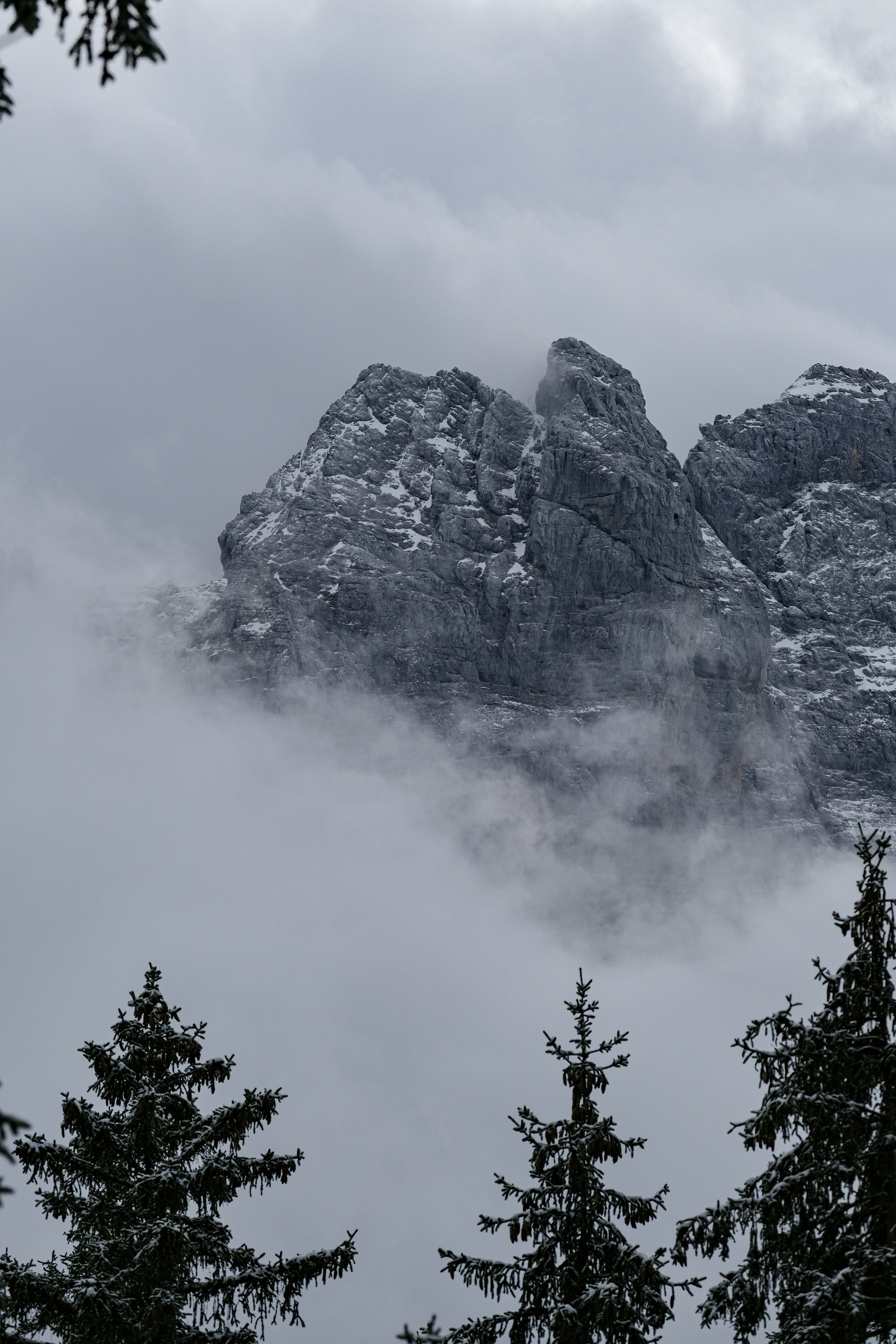 A mountain covered in snow surrounded by trees