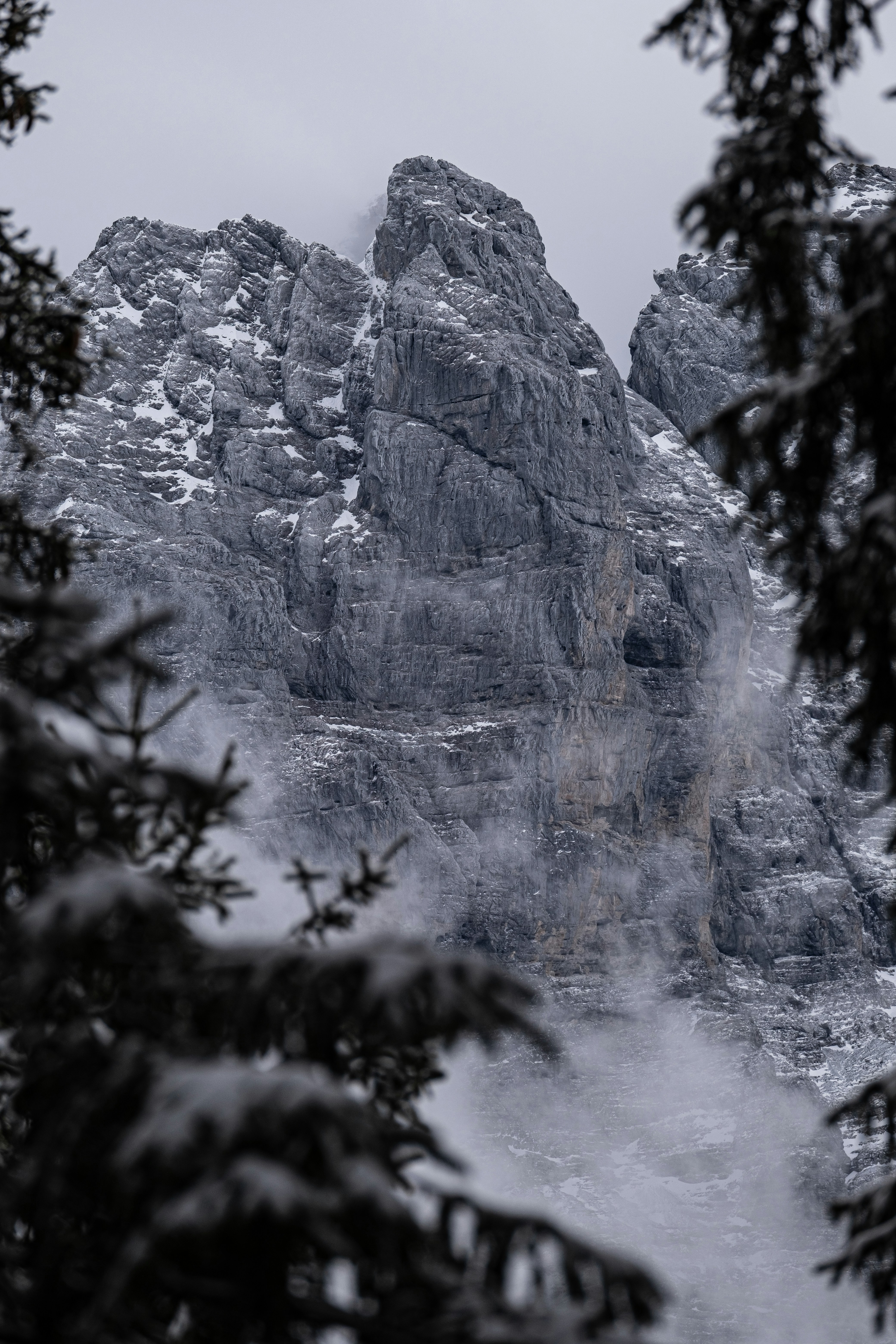 A snow covered mountain surrounded by pine trees
