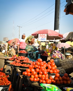 A group of people standing around a table filled with tomatoes