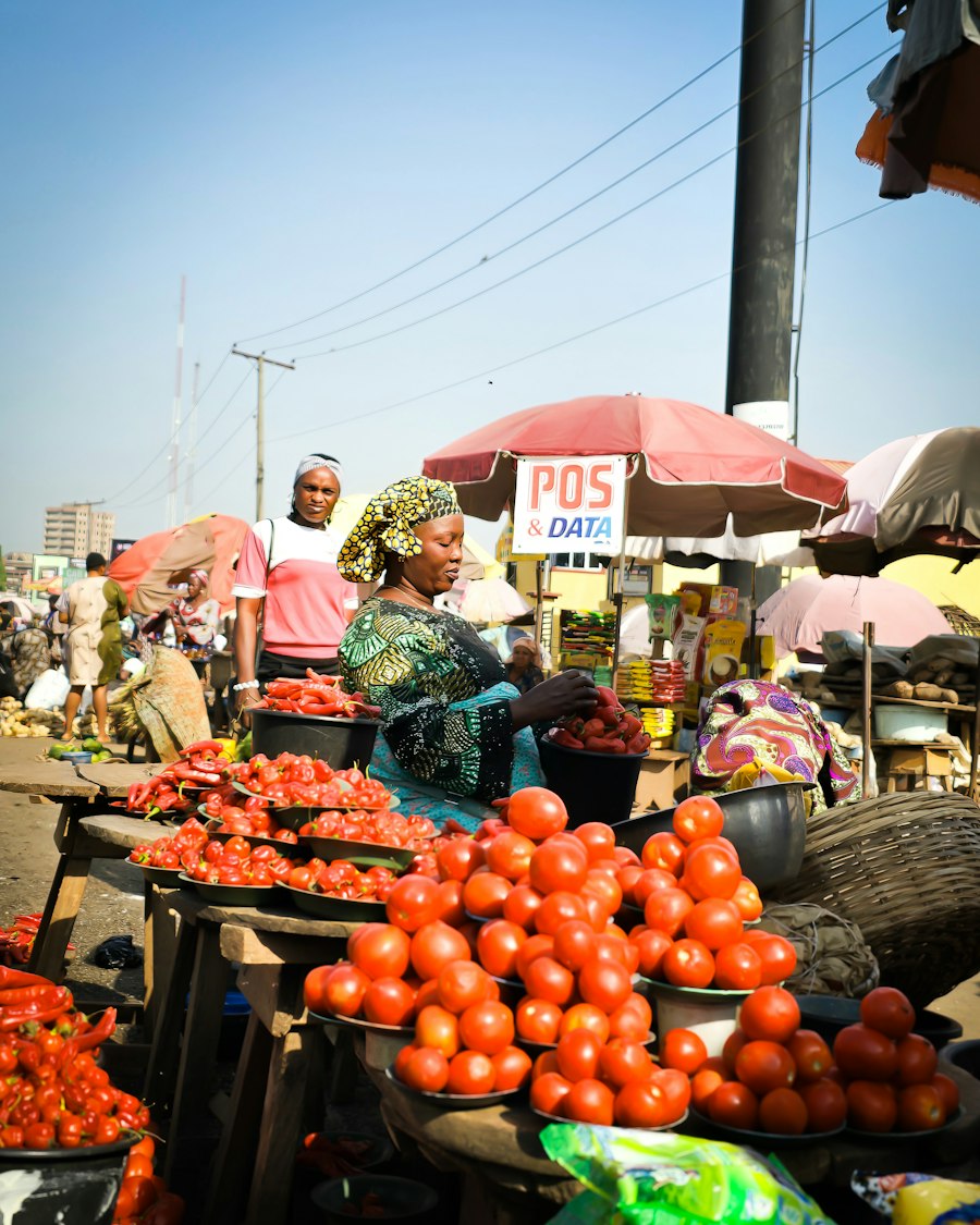 Tomato and pepper sellers at Bodija Market, Ibadan, Nigeria