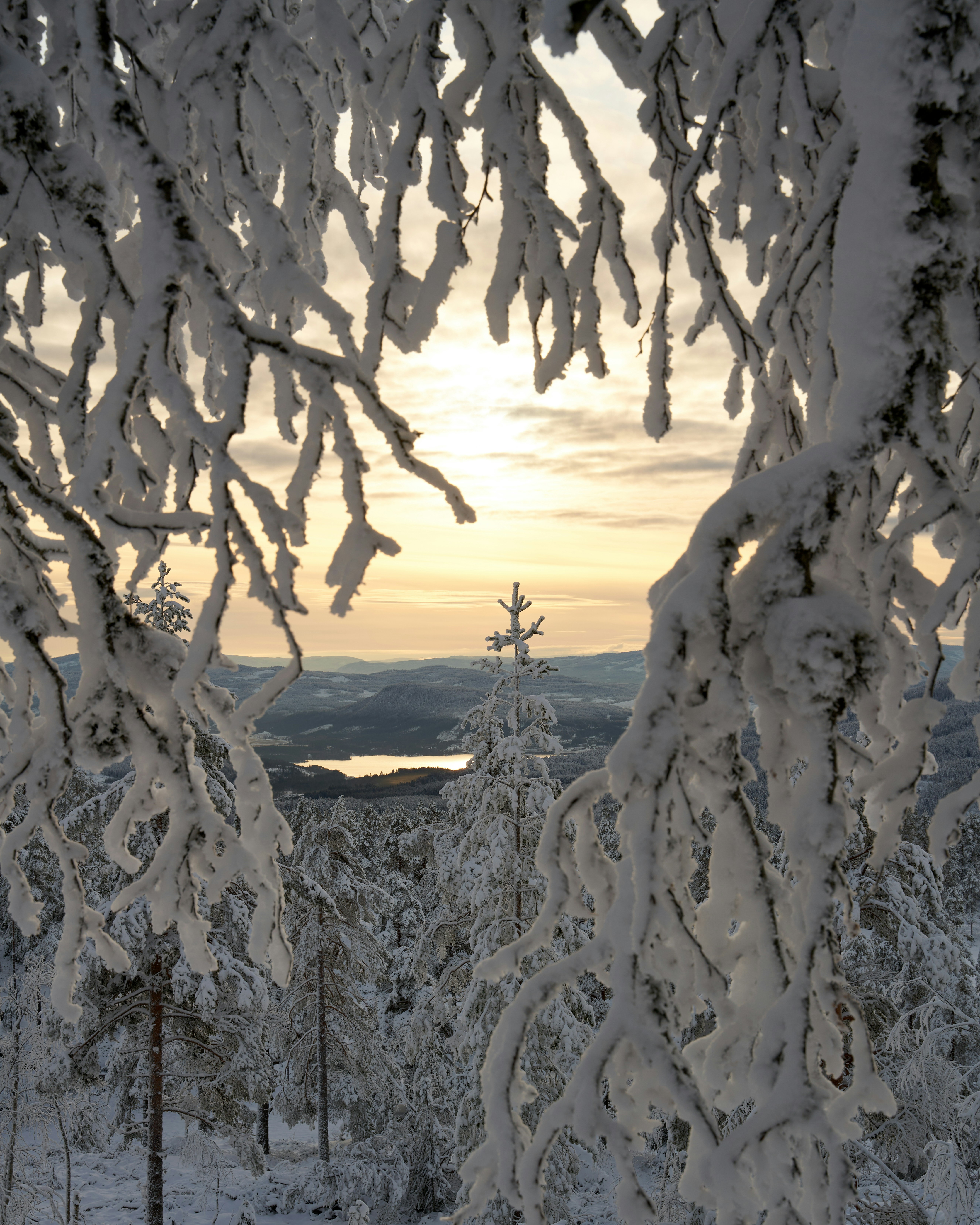 Photo by davotibarna