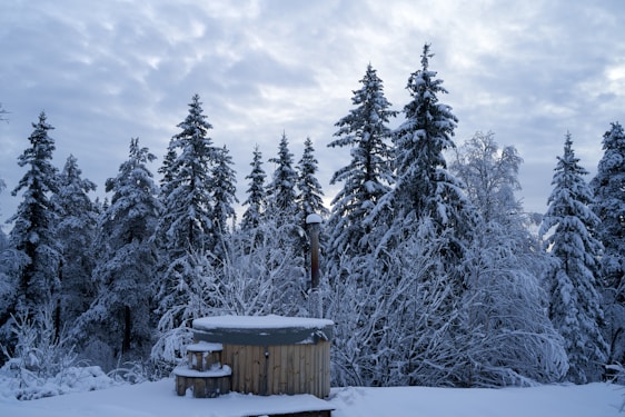 A hot tub in the middle of a snowy forest