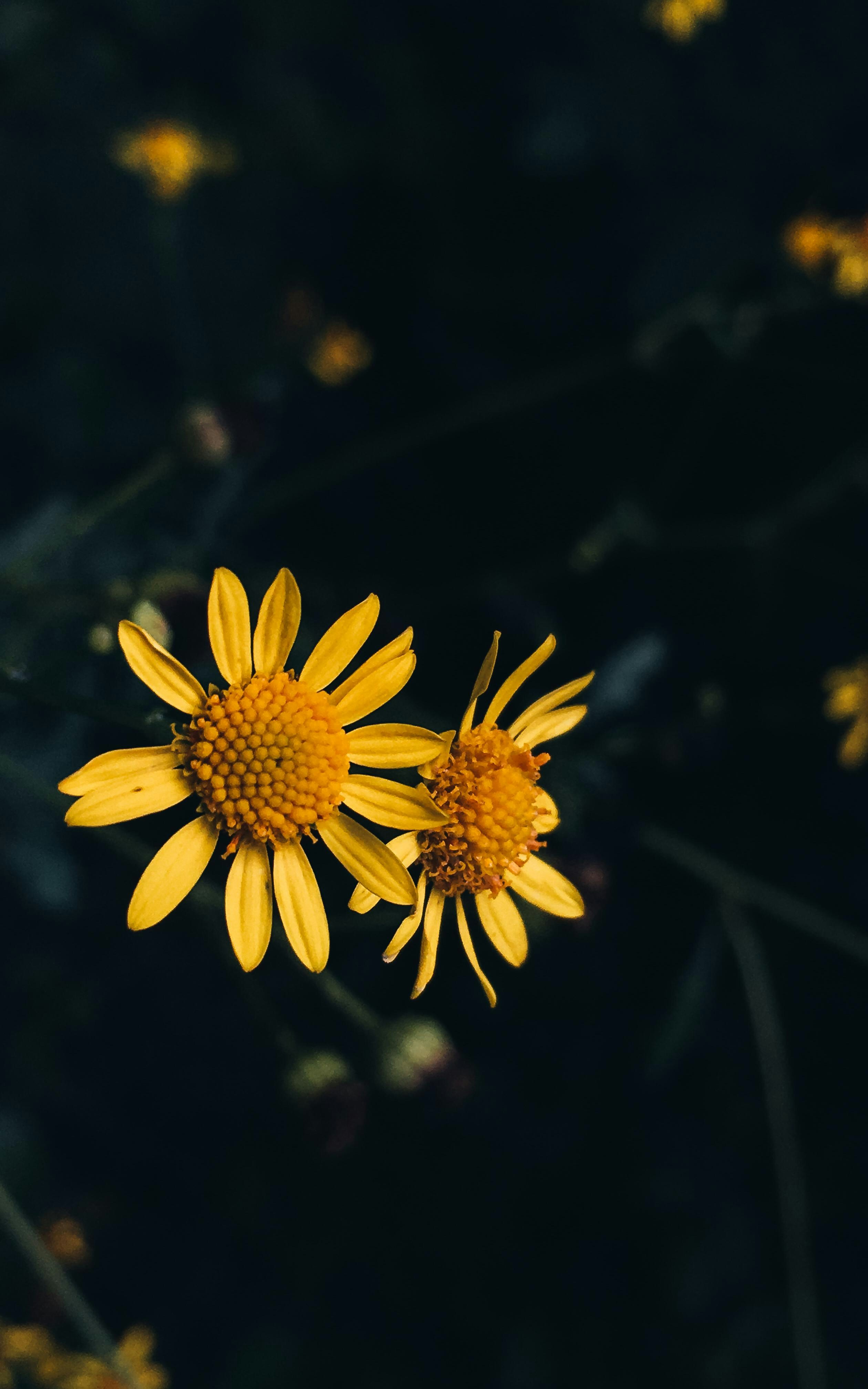 Photo by yunusemresezgi52