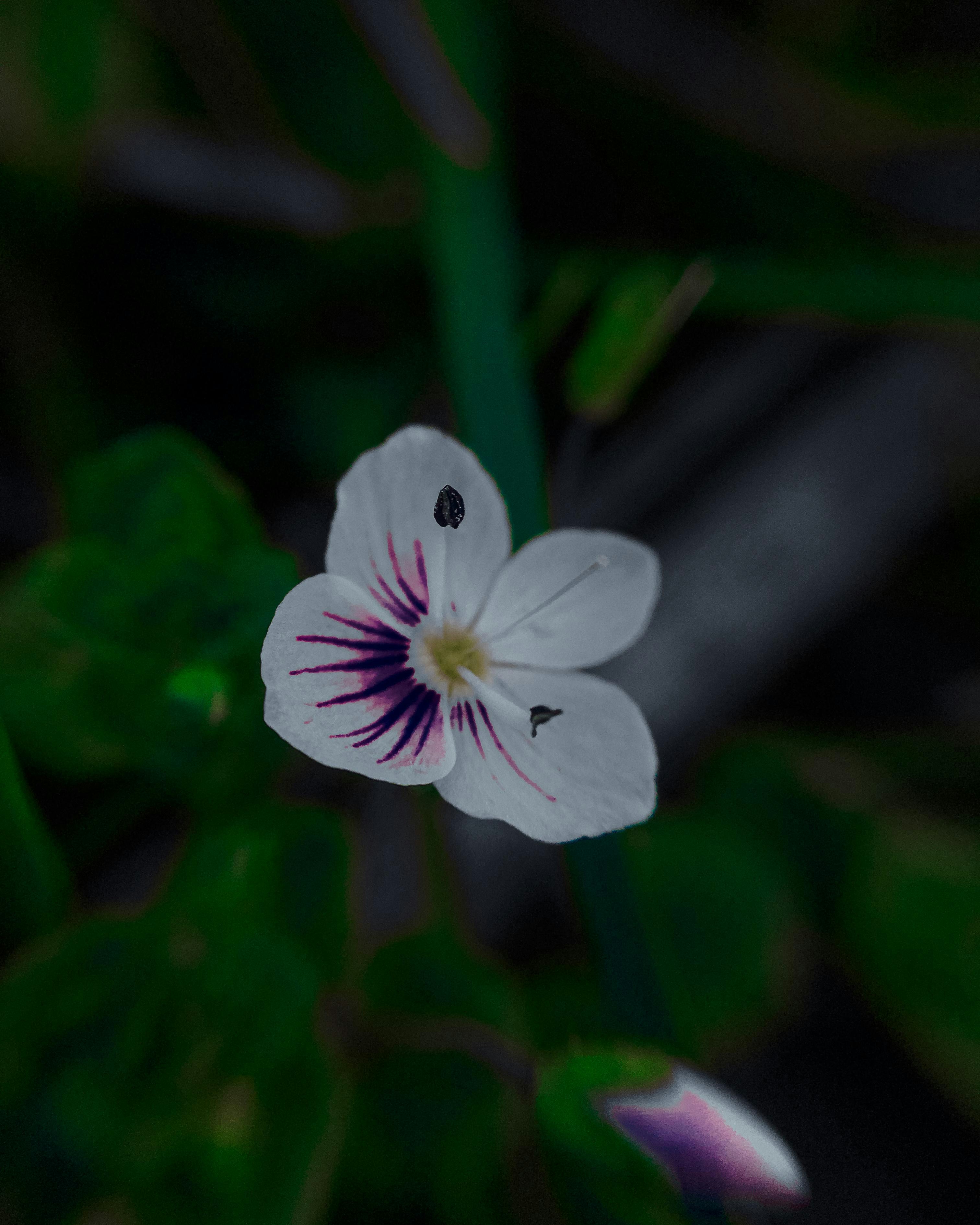 Photo by yunusemresezgi52