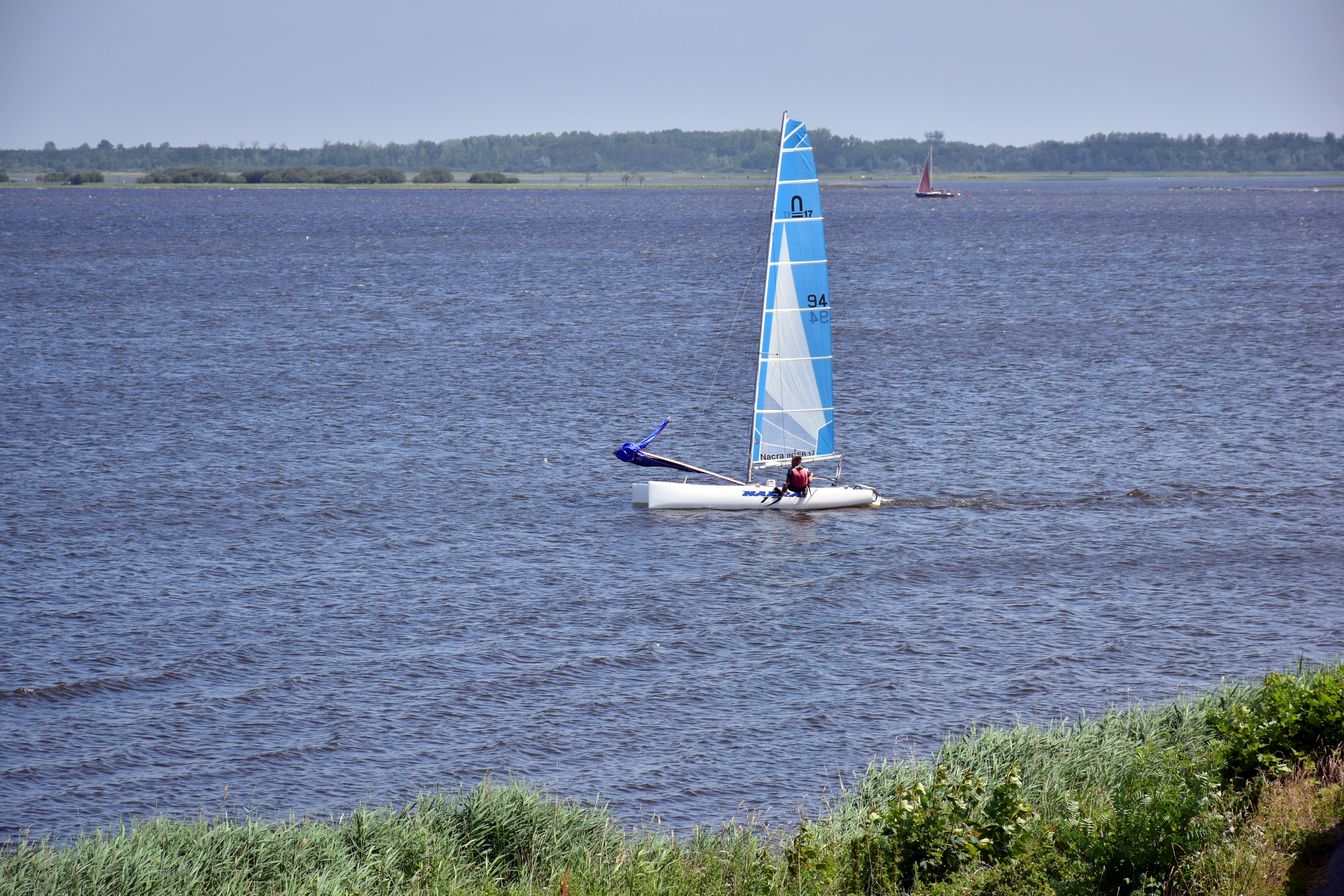 Balanced diet illustration