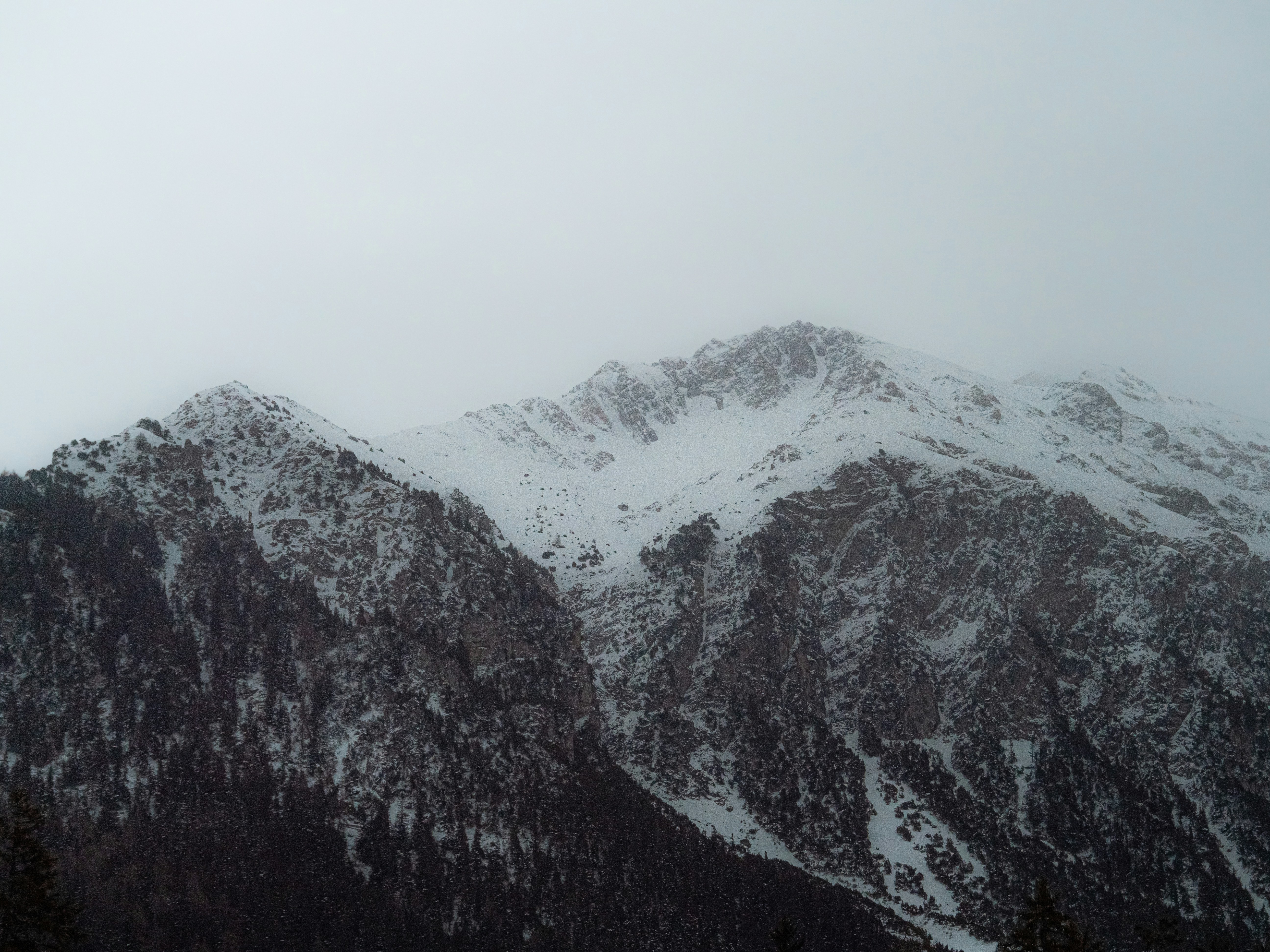 Photo by poli_graphy