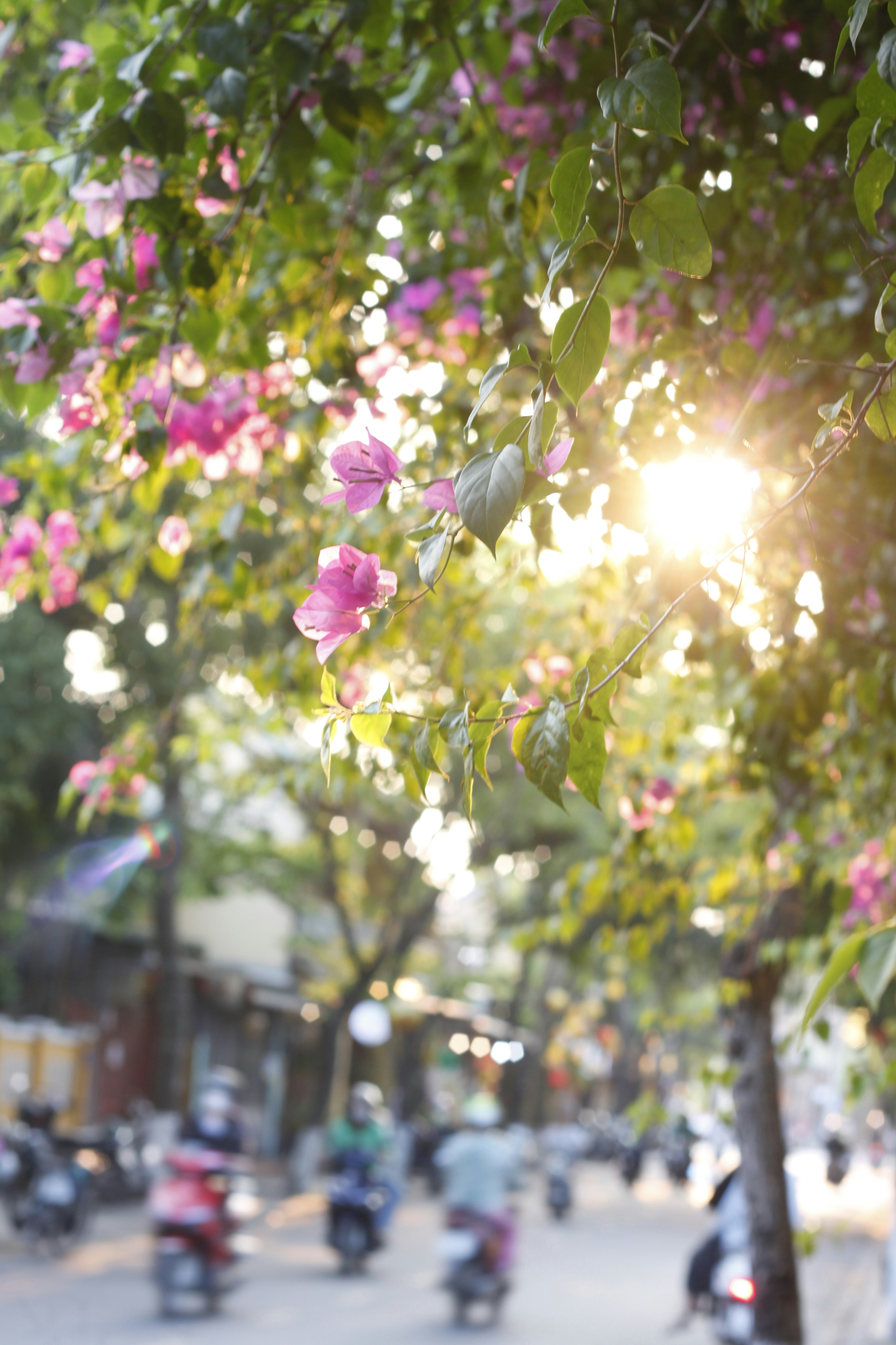 Photo by jtrinh_artwork