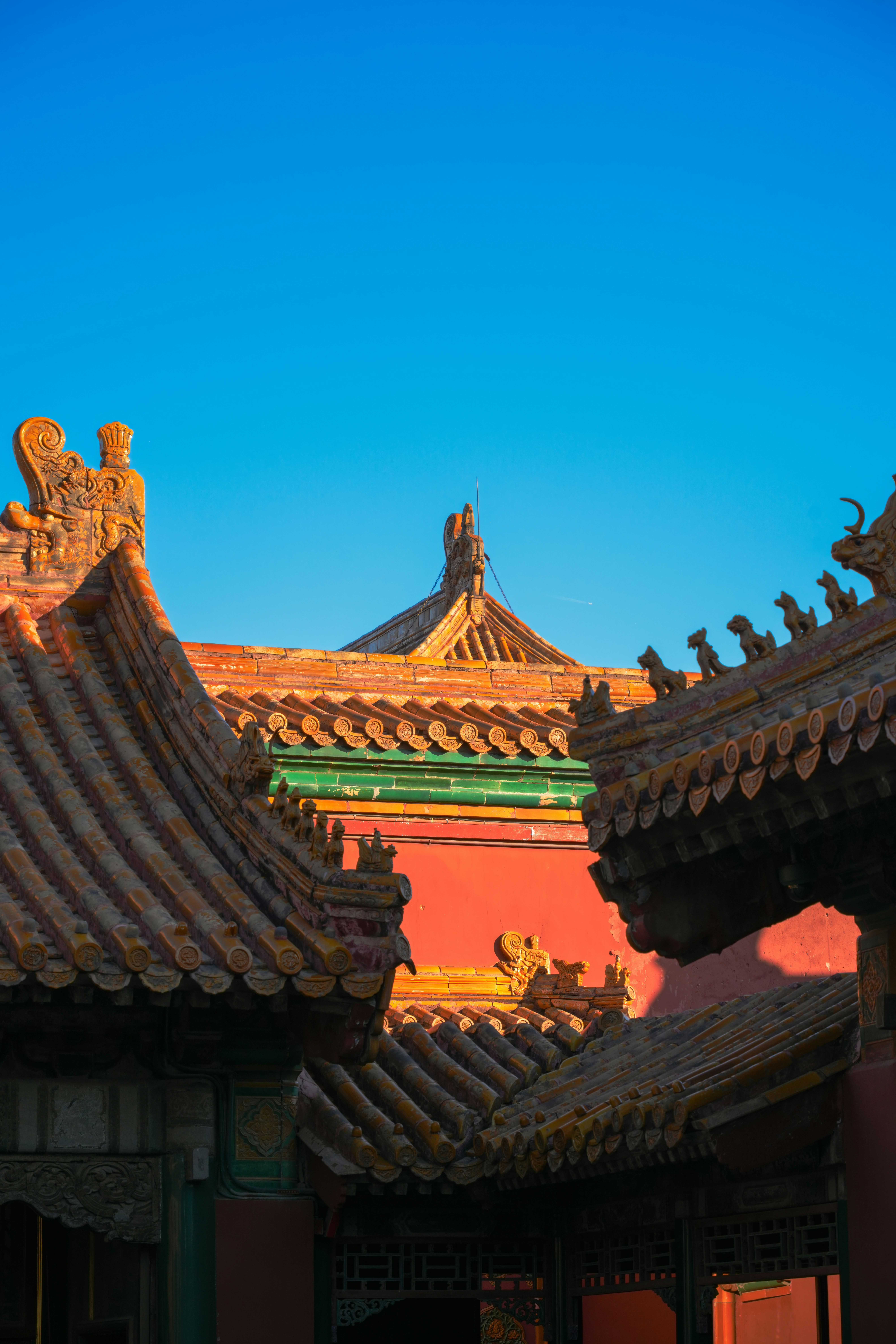 Photo by hattrick1996