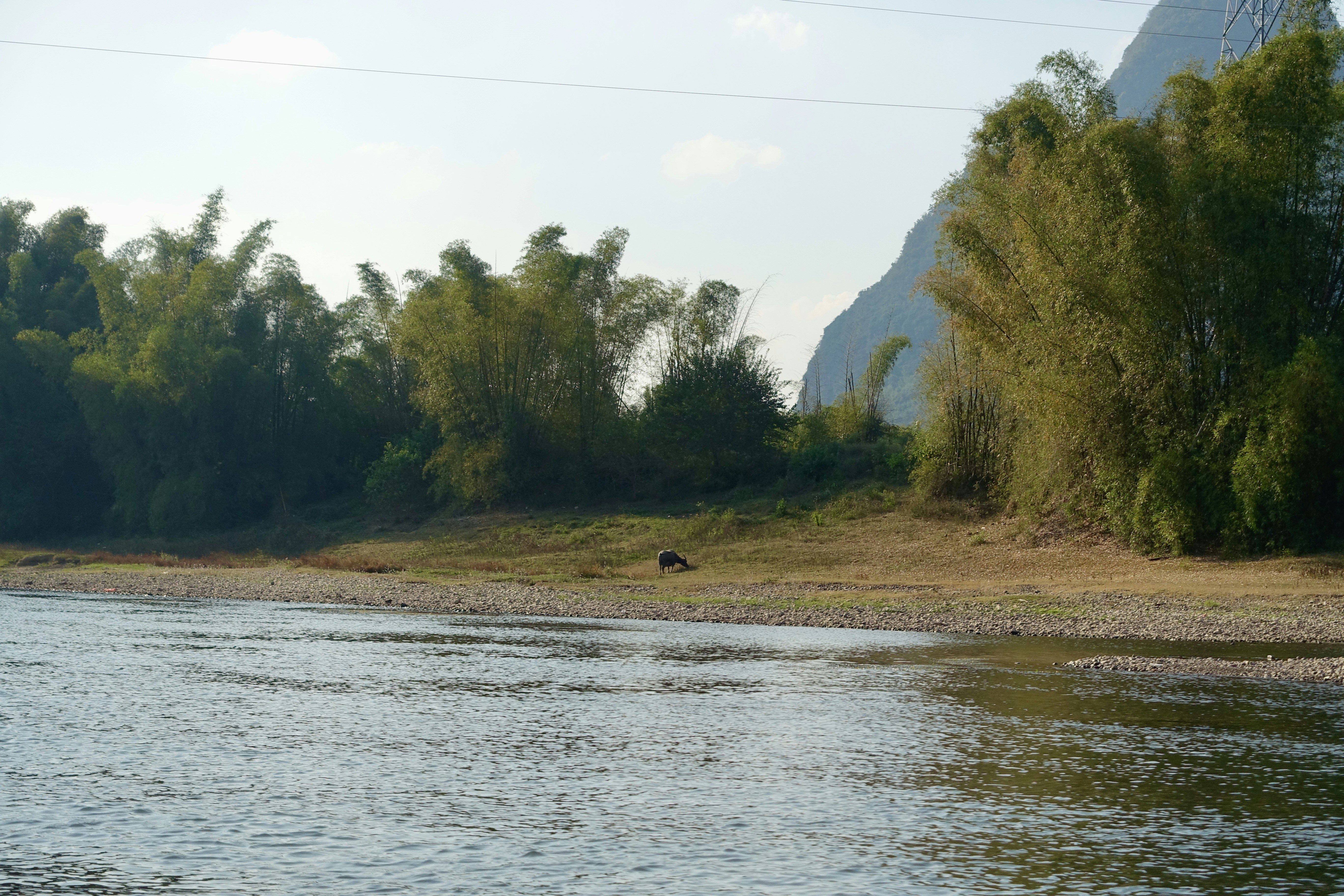 A body of water with trees in the background