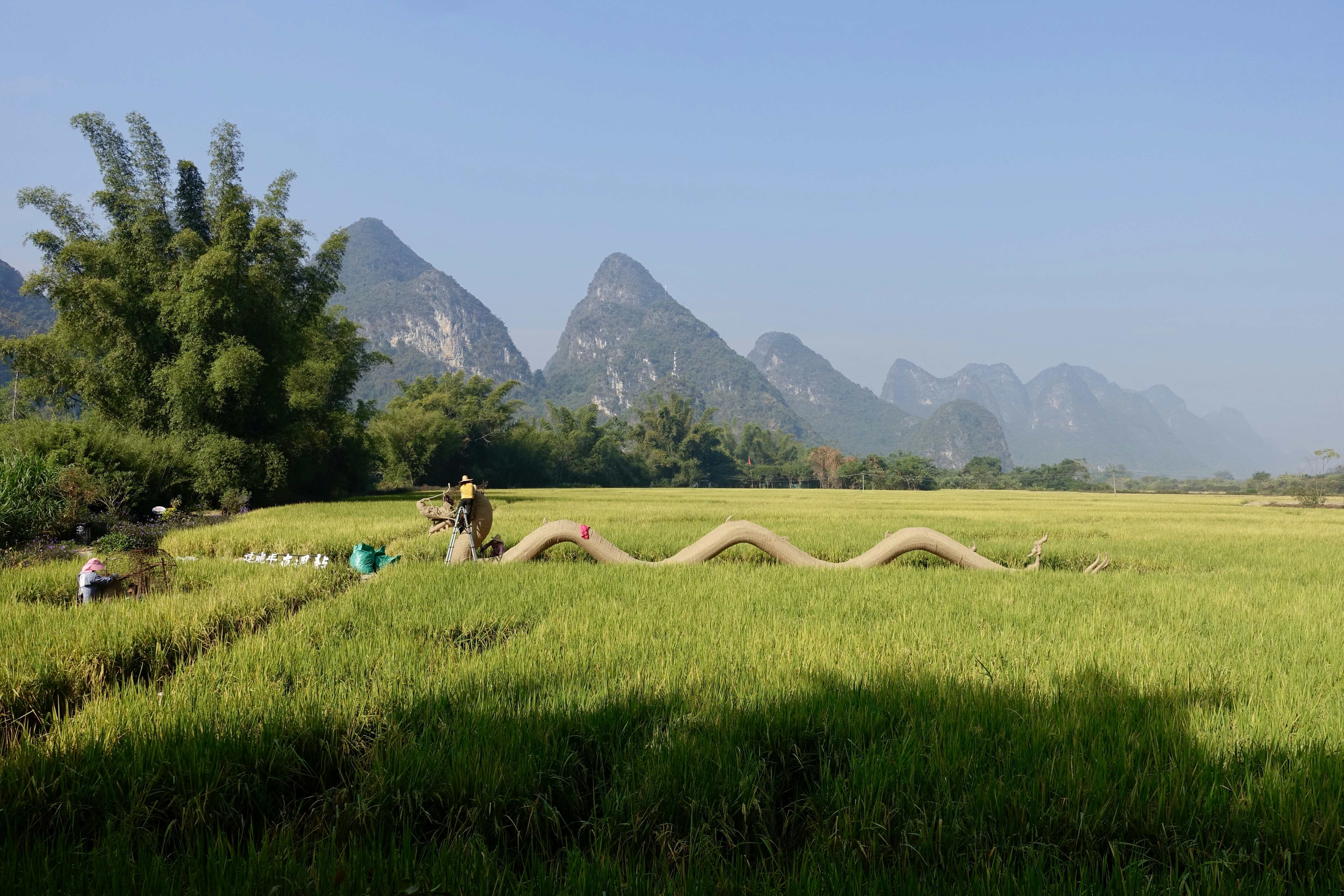 A grassy field with mountains in the background