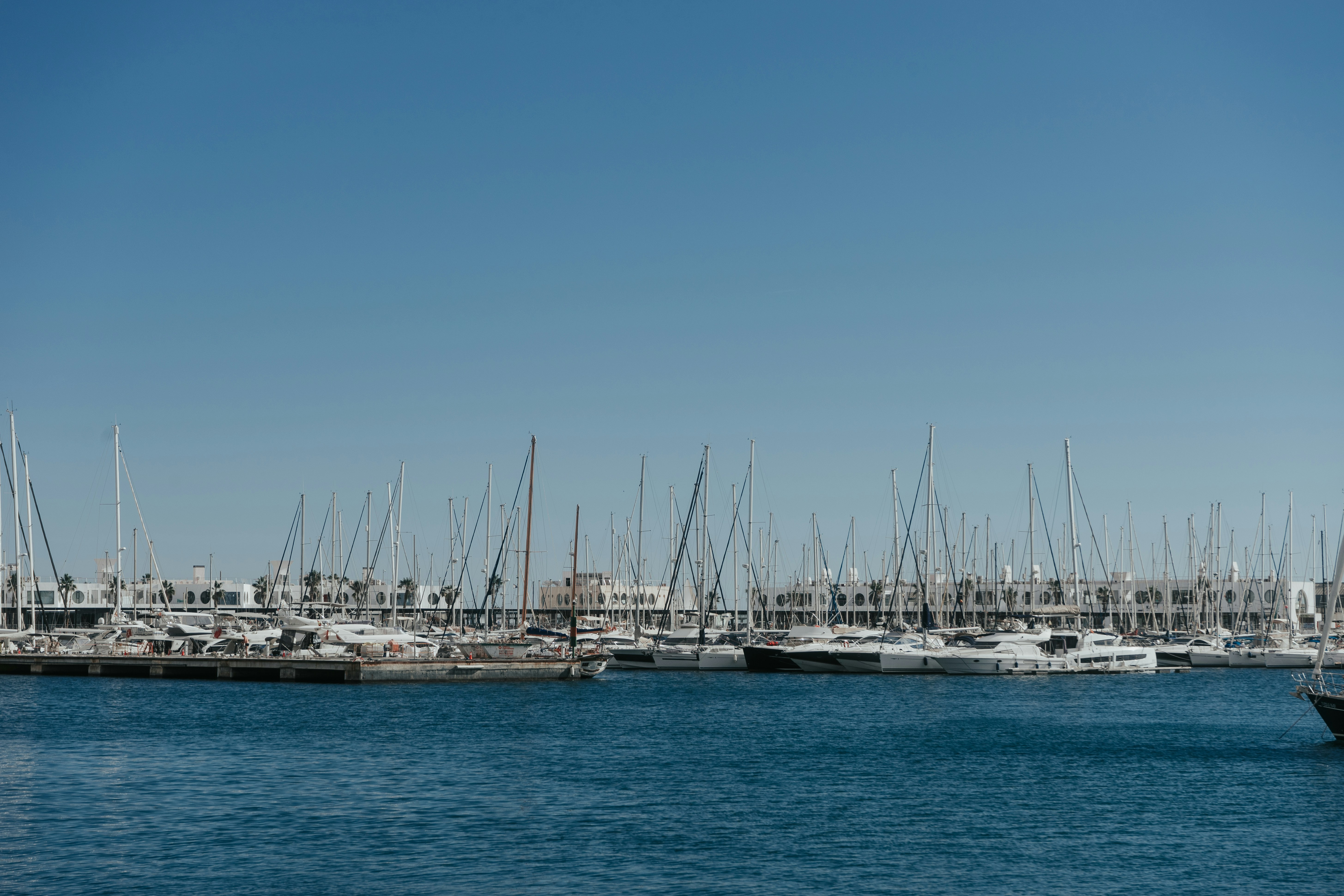 Photo by mariasolponce