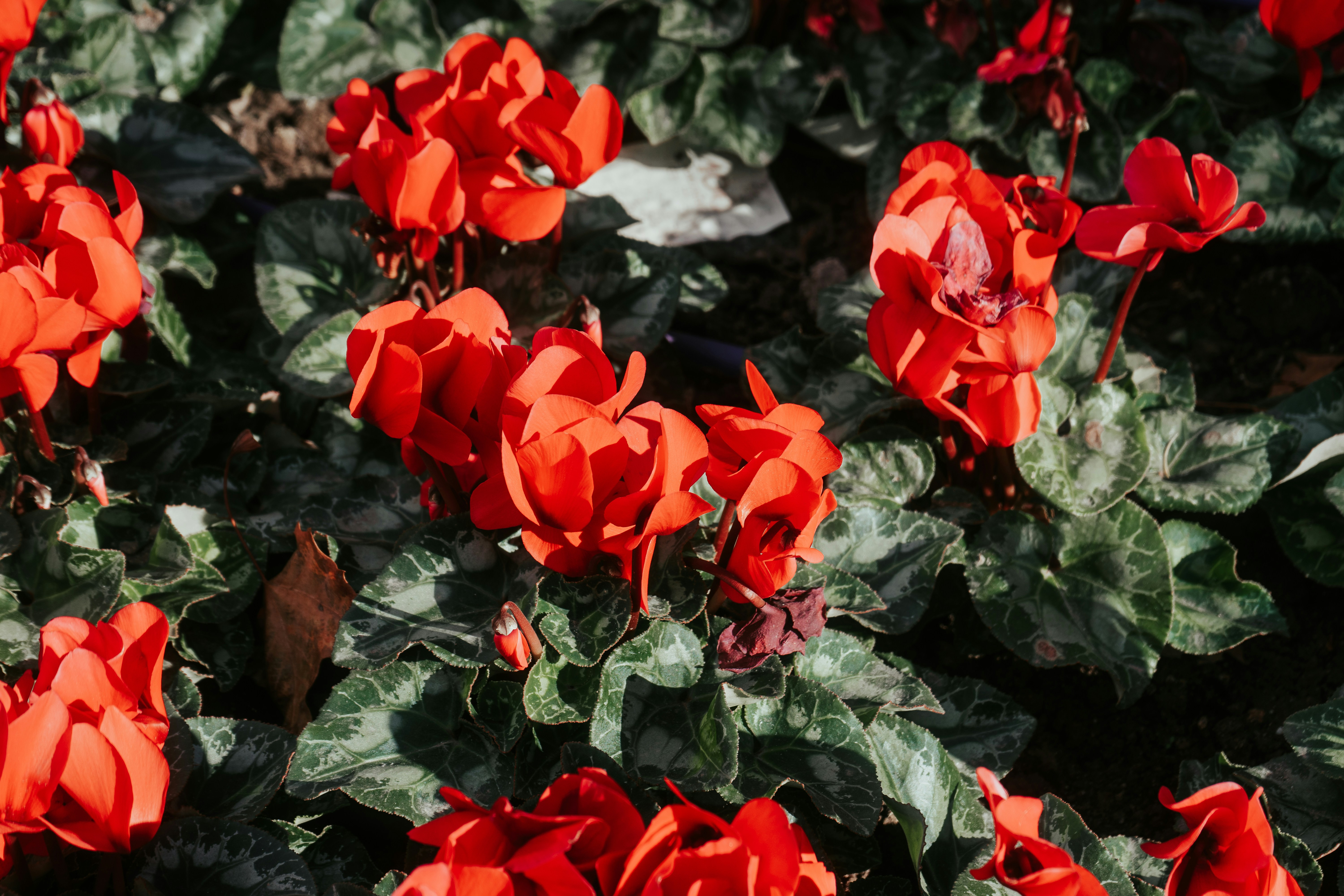 Photo by mariasolponce