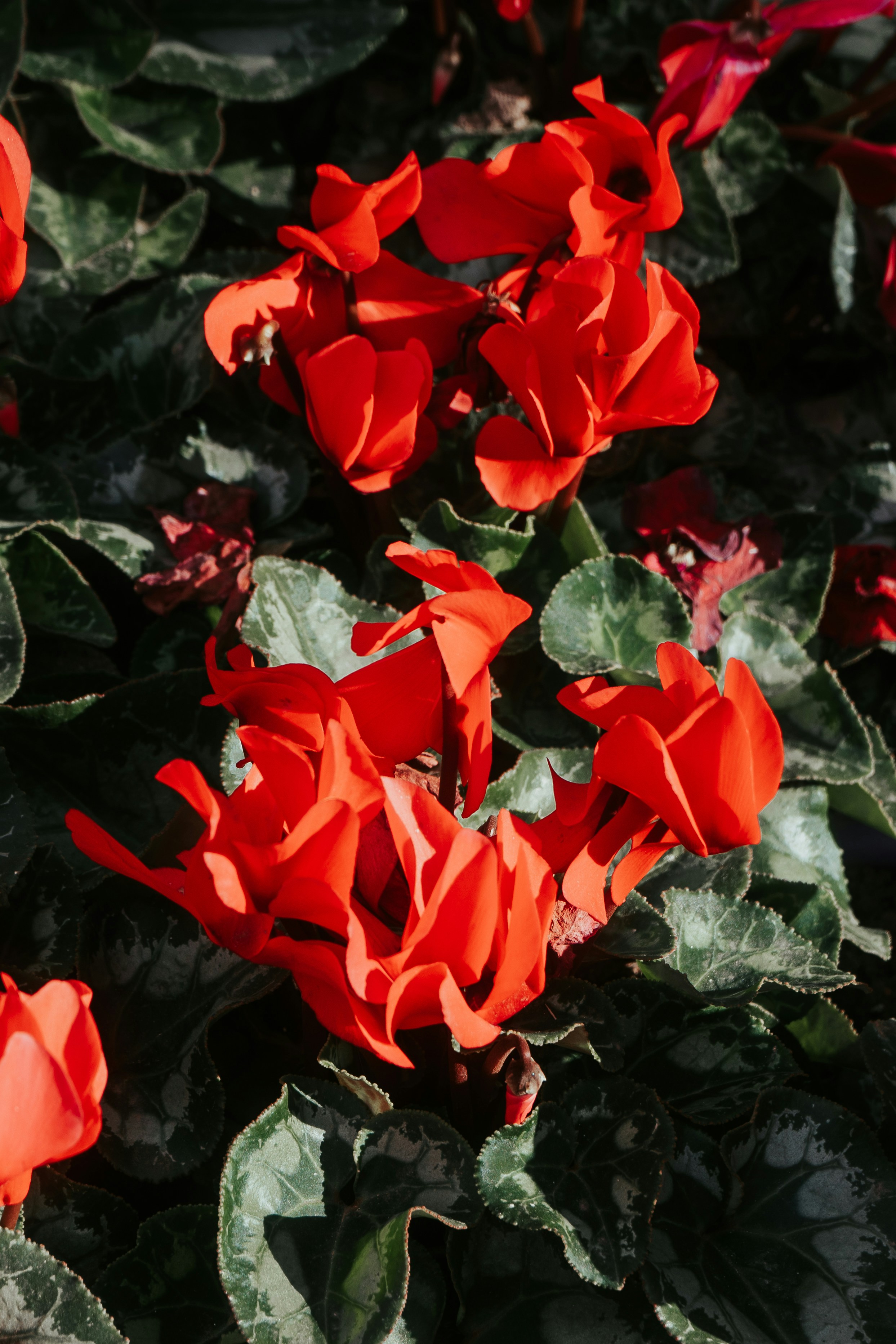 Photo by mariasolponce