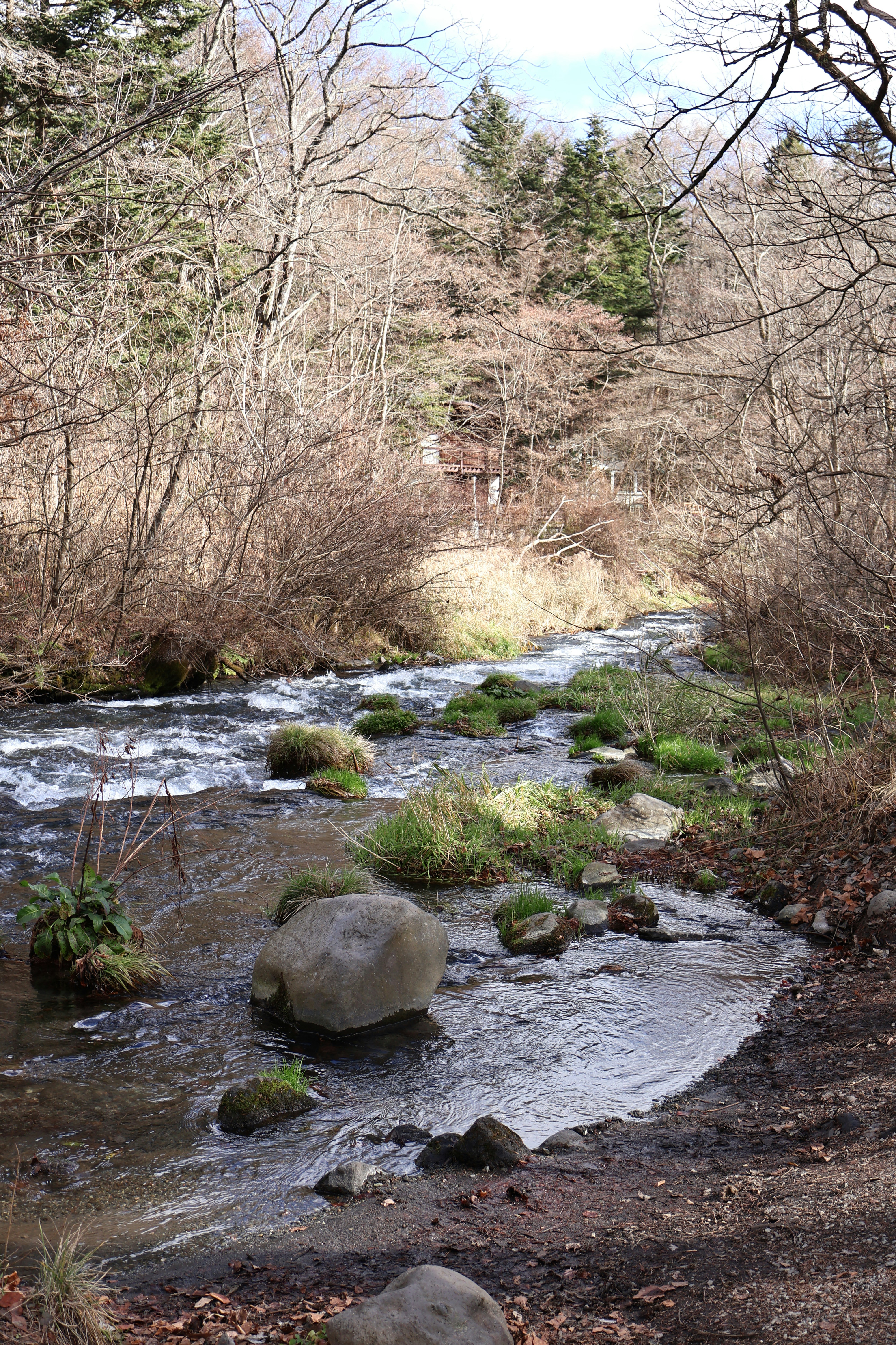 Photo by vickeekiwiwow