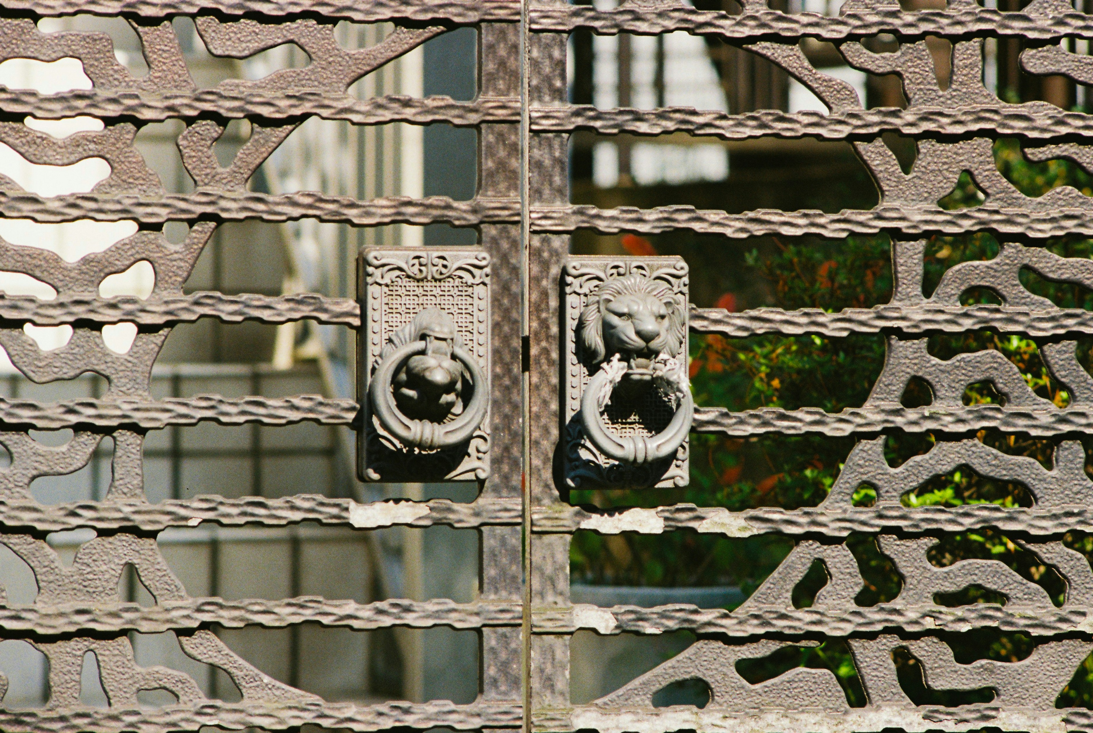 A close up of a metal gate with decorative designs