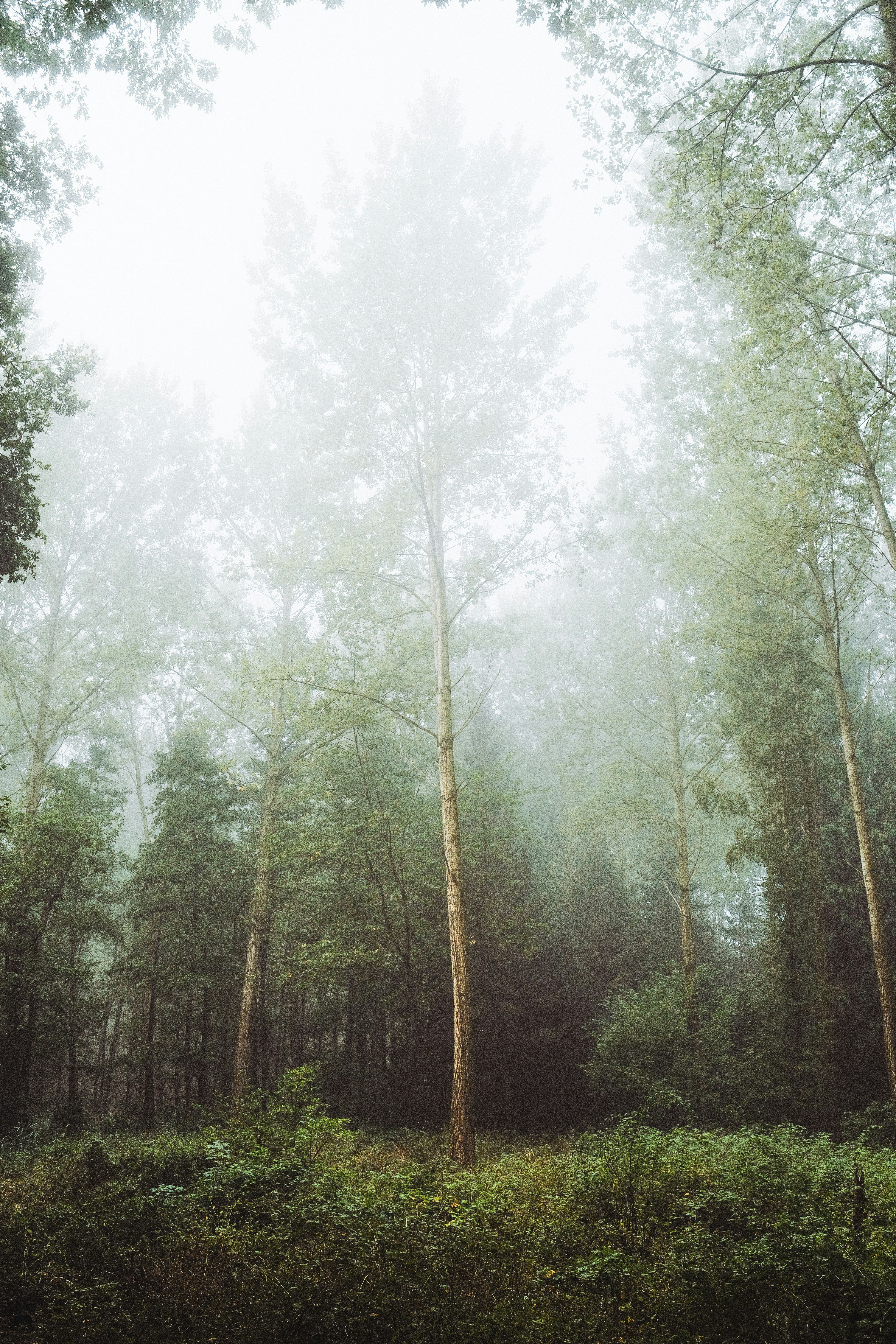 Photo by visualsbying