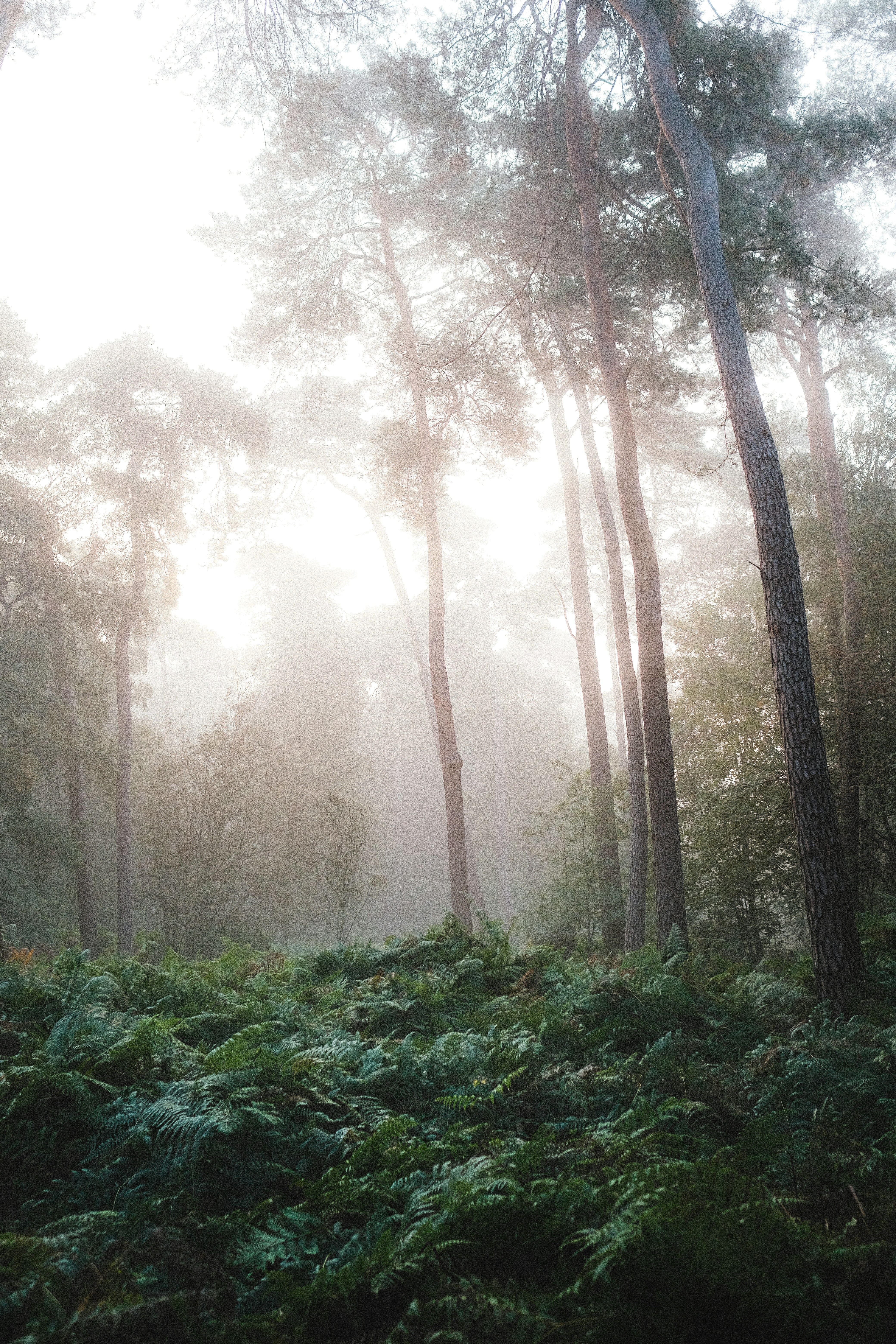 Photo by visualsbying