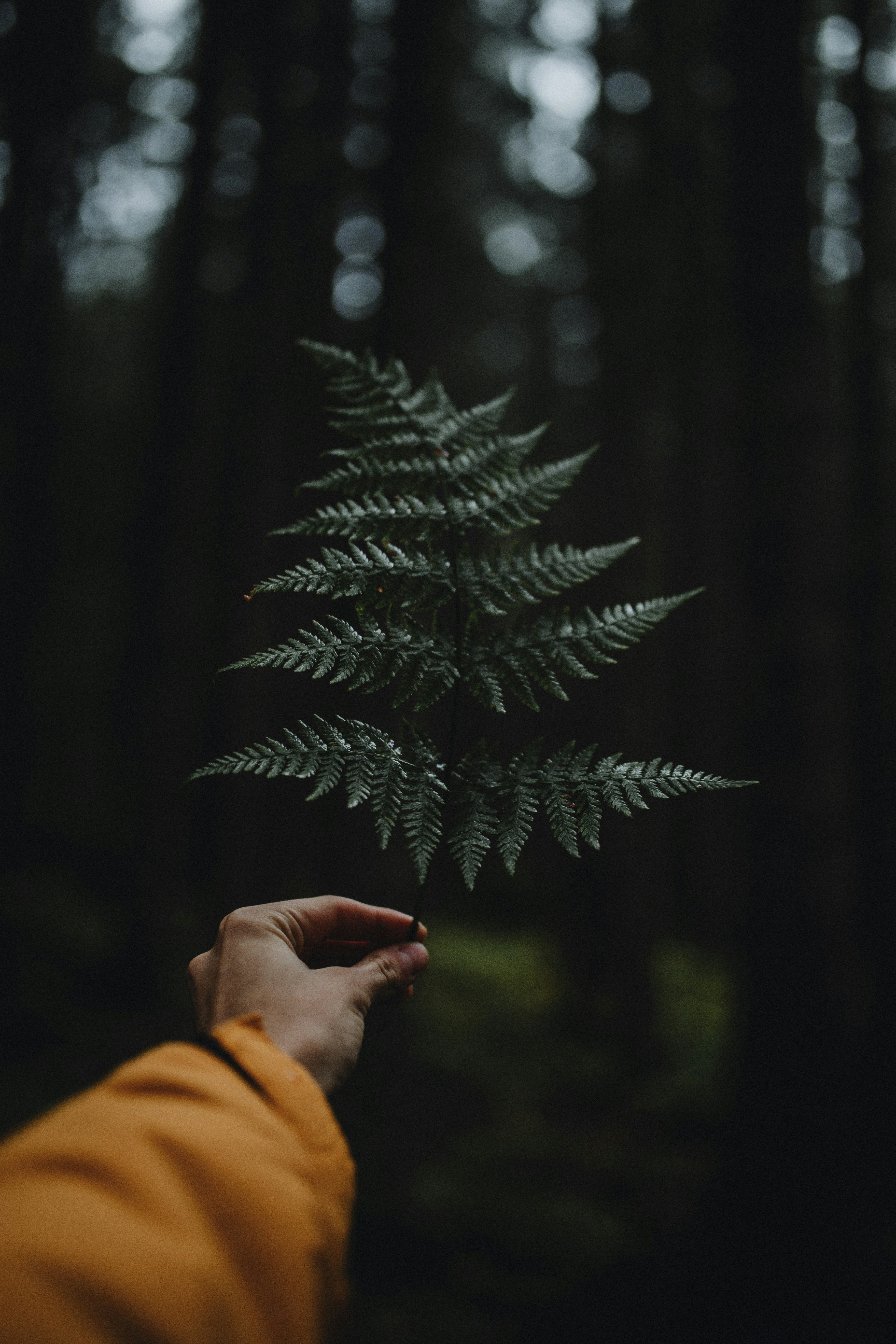 Photo by filipkvasnak