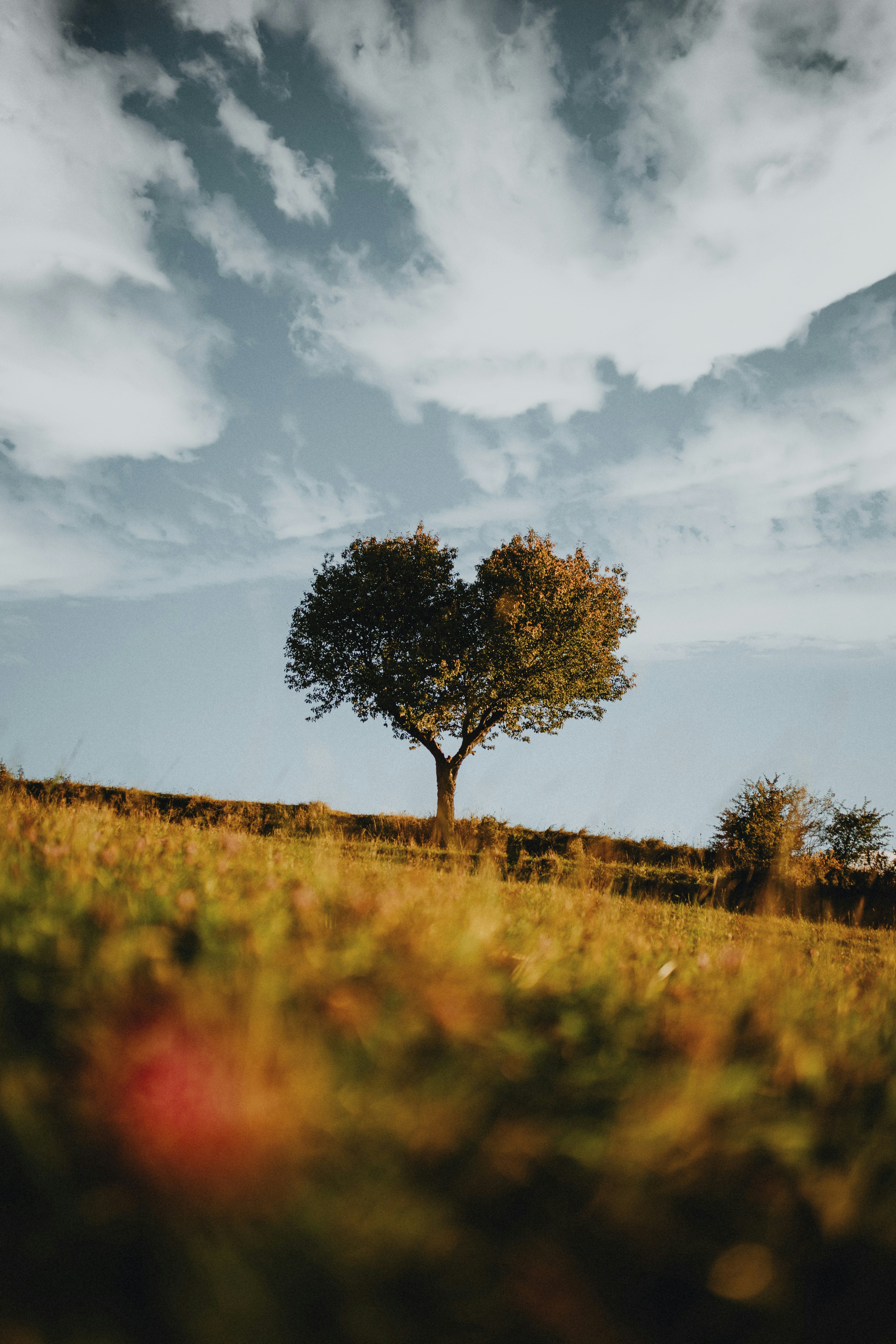 Photo by filipkvasnak