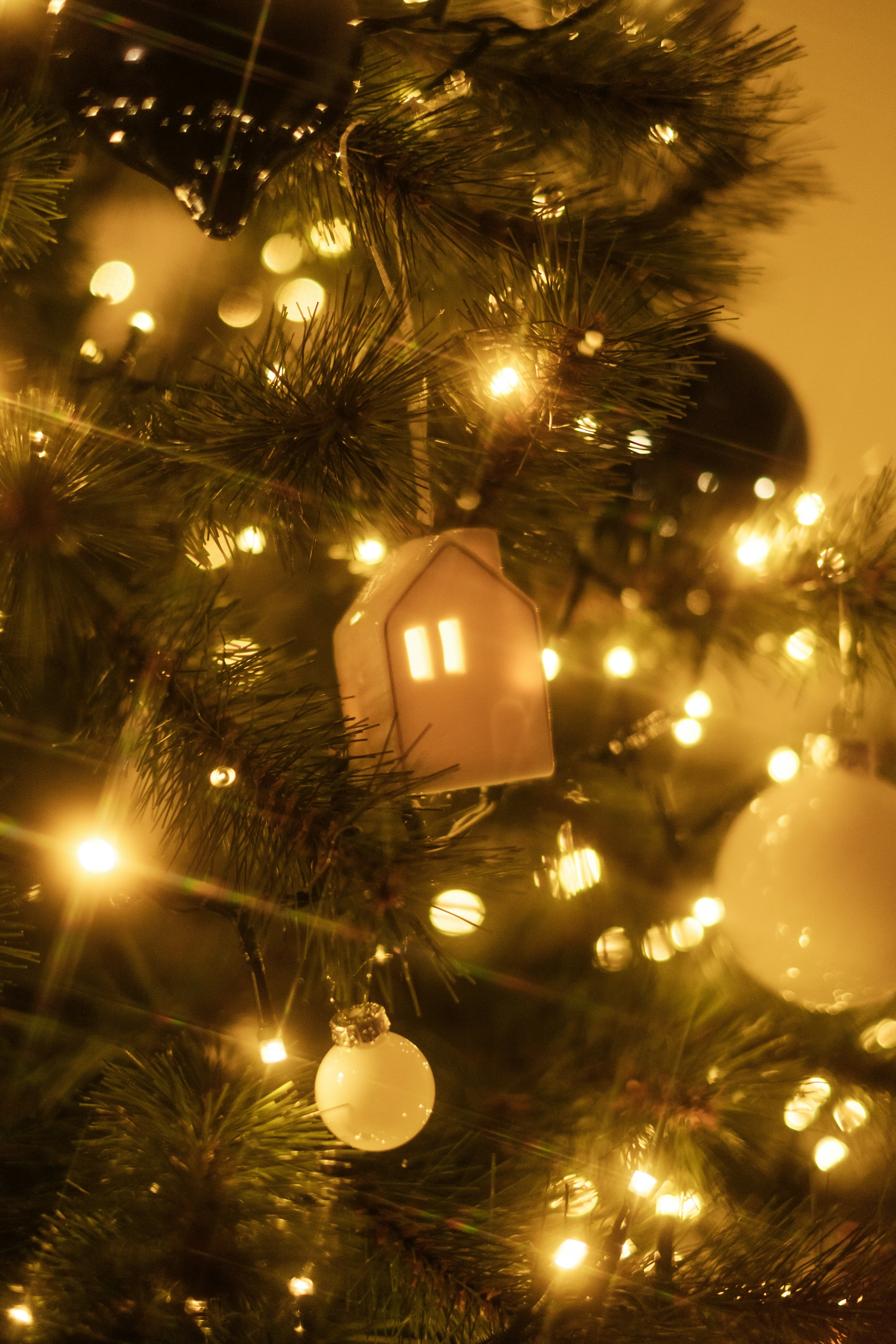 Photo by visualsbying