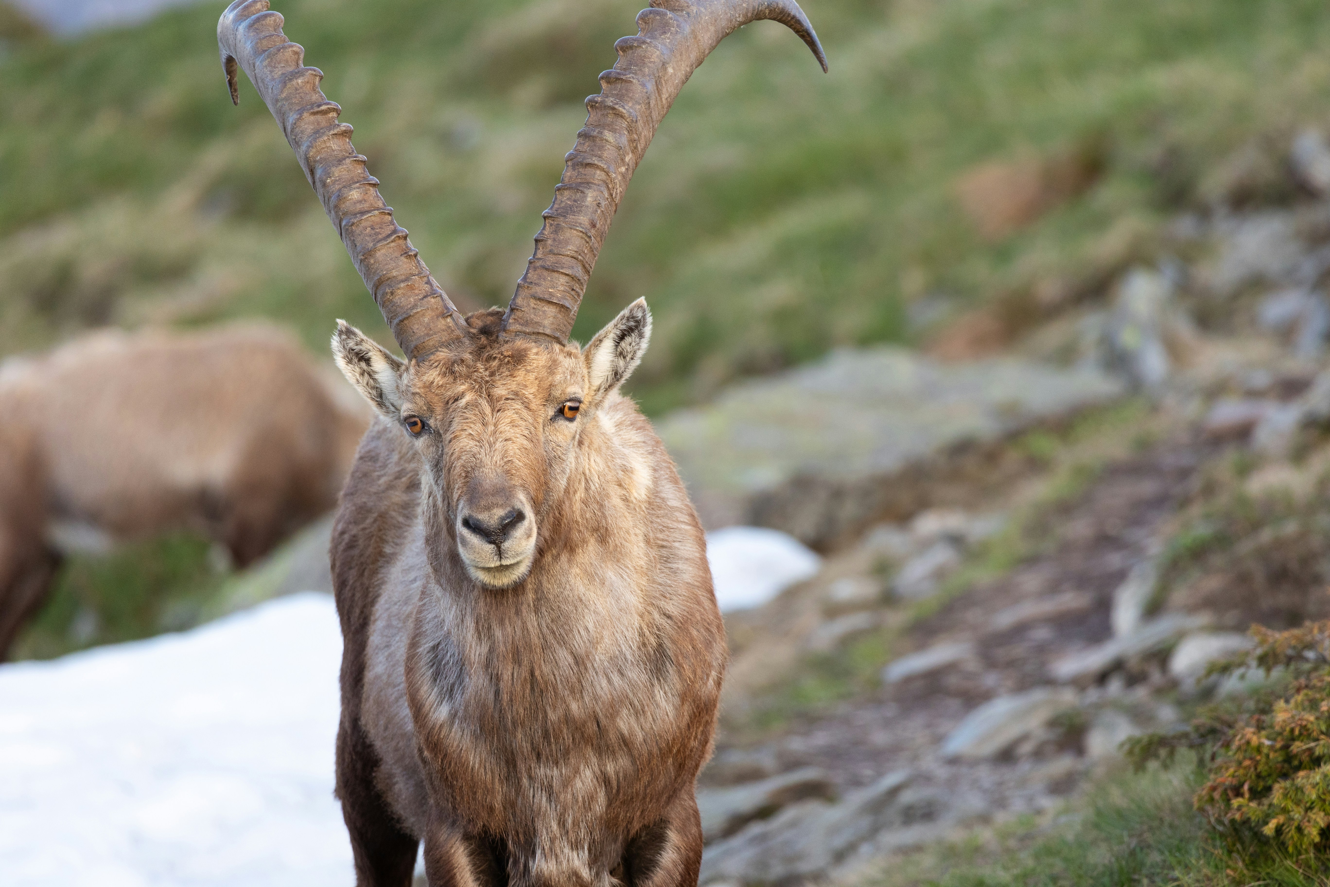 Photo by marekpiwnicki