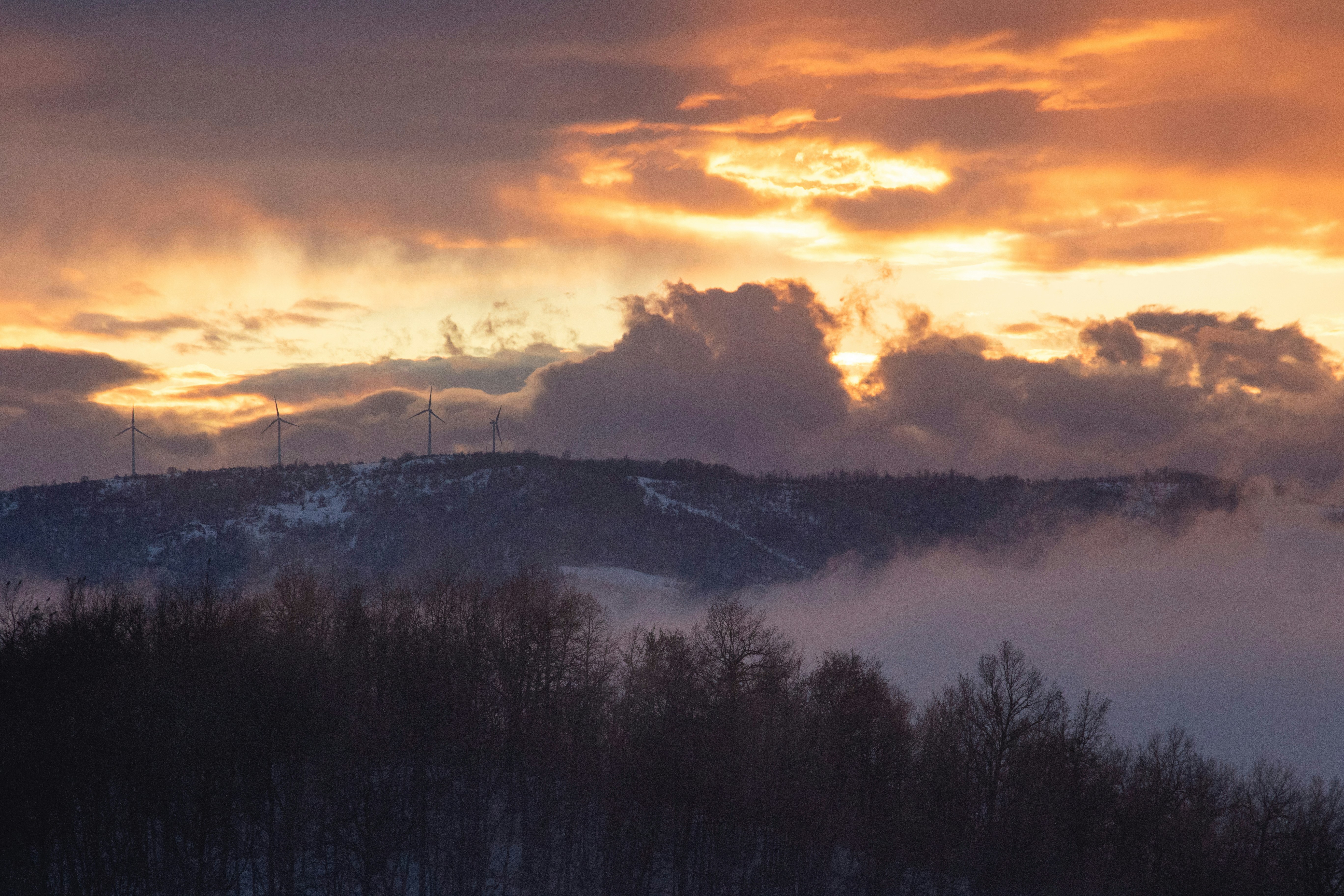 Photo by mattia_poli_04