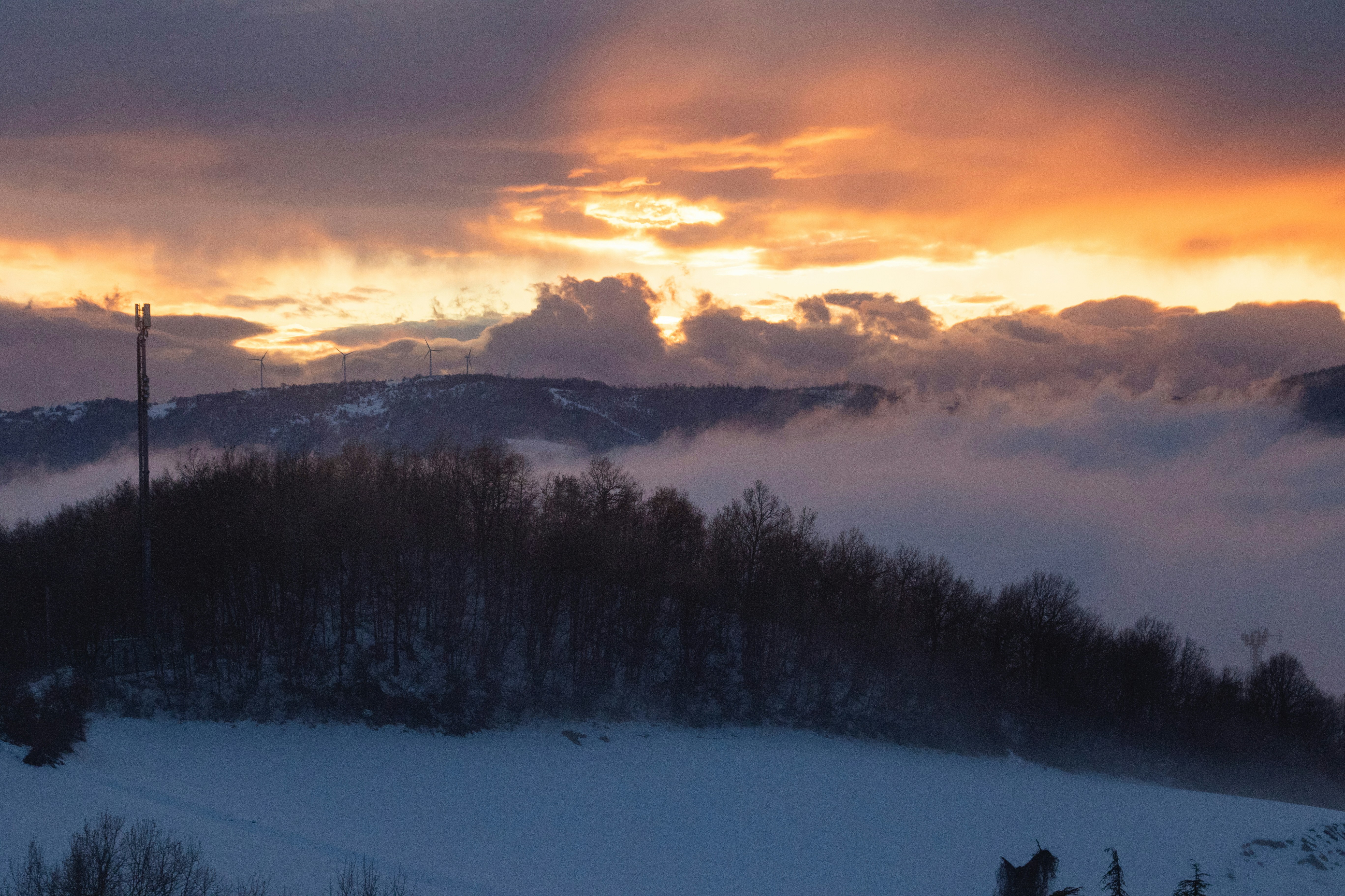 Photo by mattia_poli_04