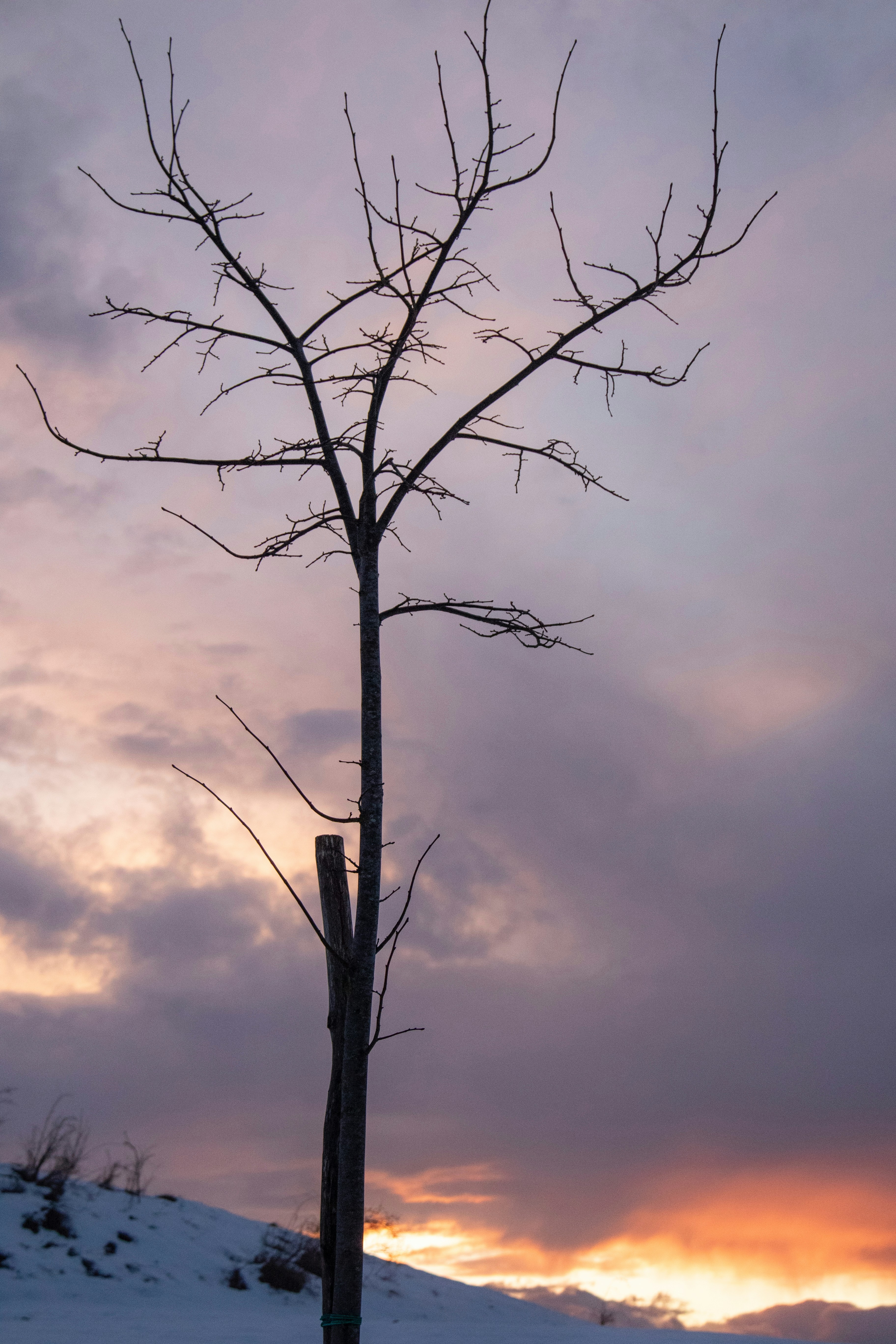 Photo by mattia_poli_04