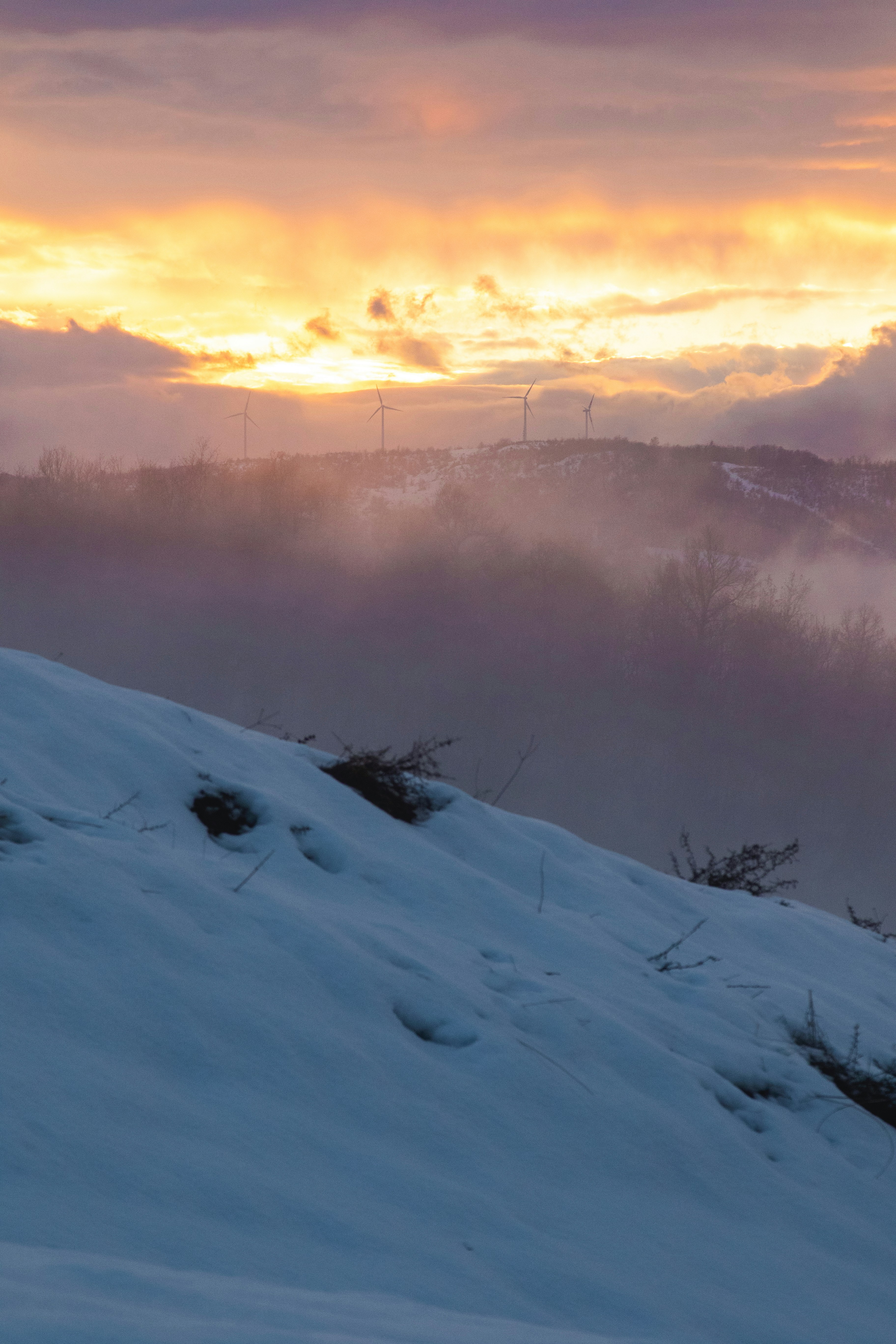 Photo by mattia_poli_04