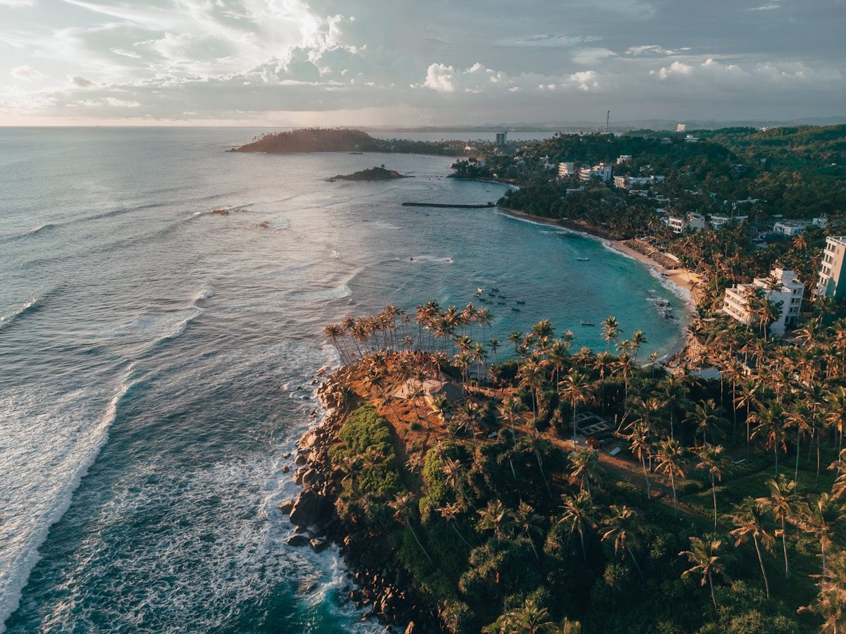 Aerial view of Mirissa beach, Sri Lanka - turquoise ocean meeting golden sand with palm trees