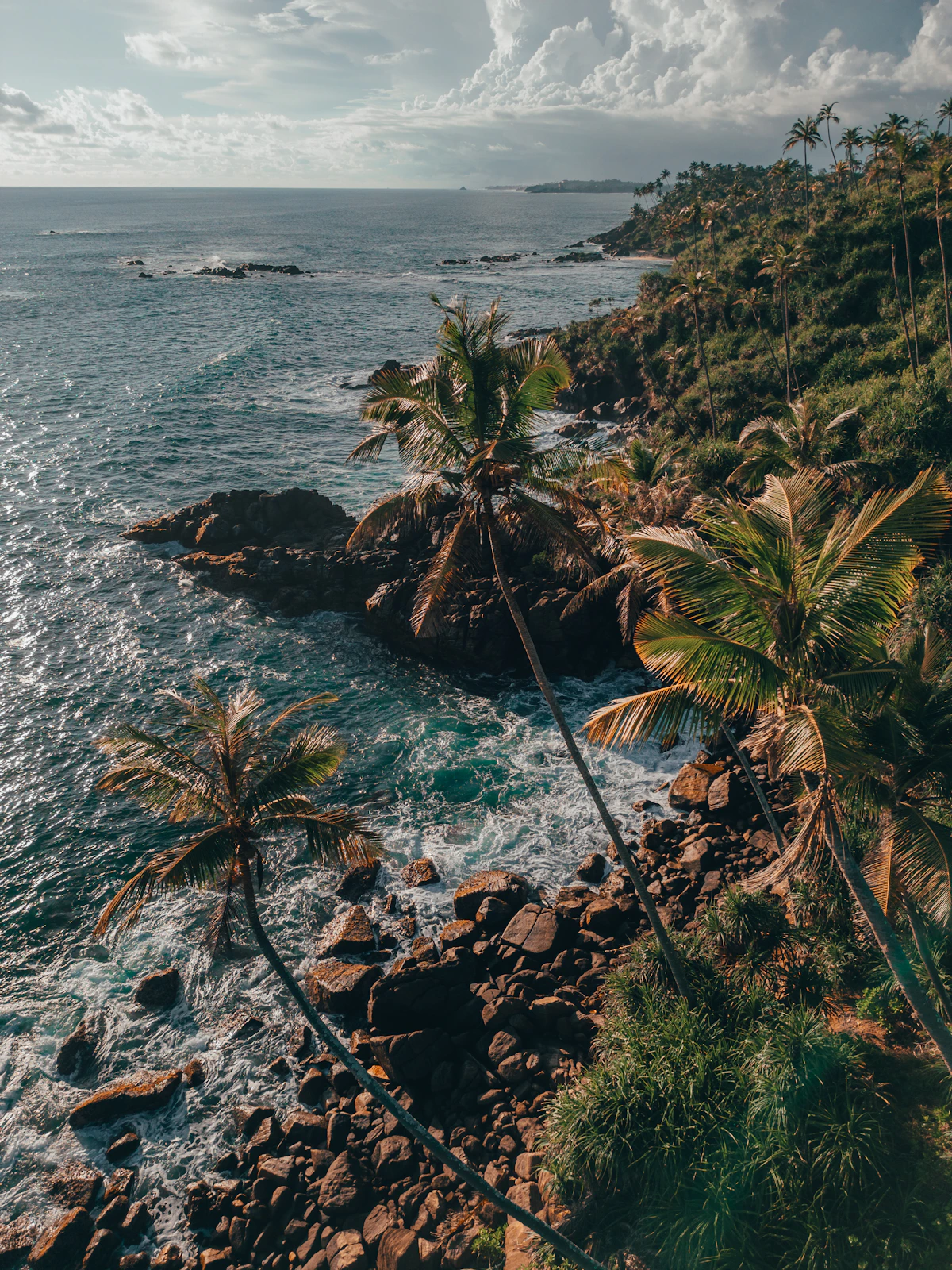 Mirissa coast viewed from above