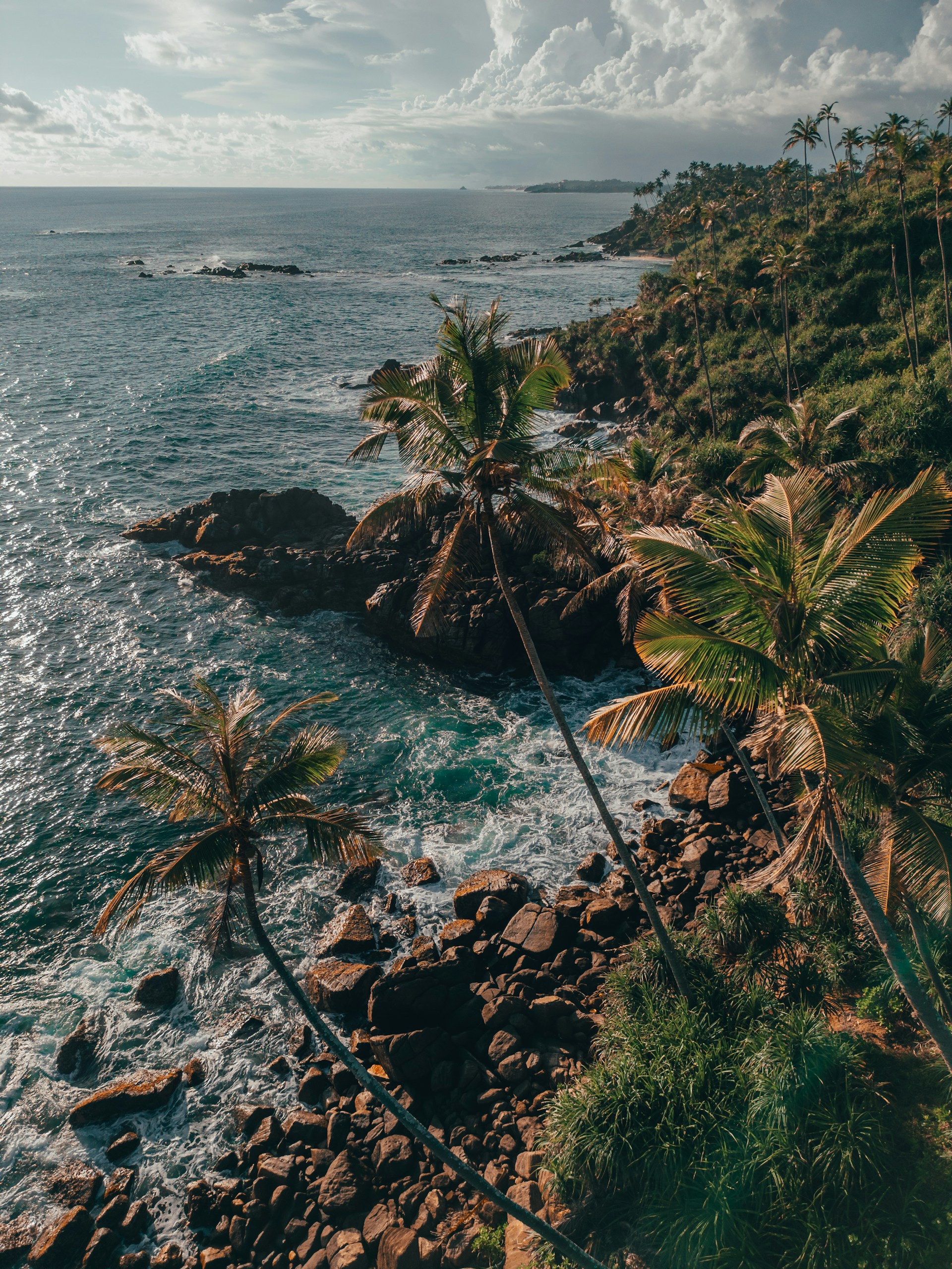A beach with palm trees and a body of water