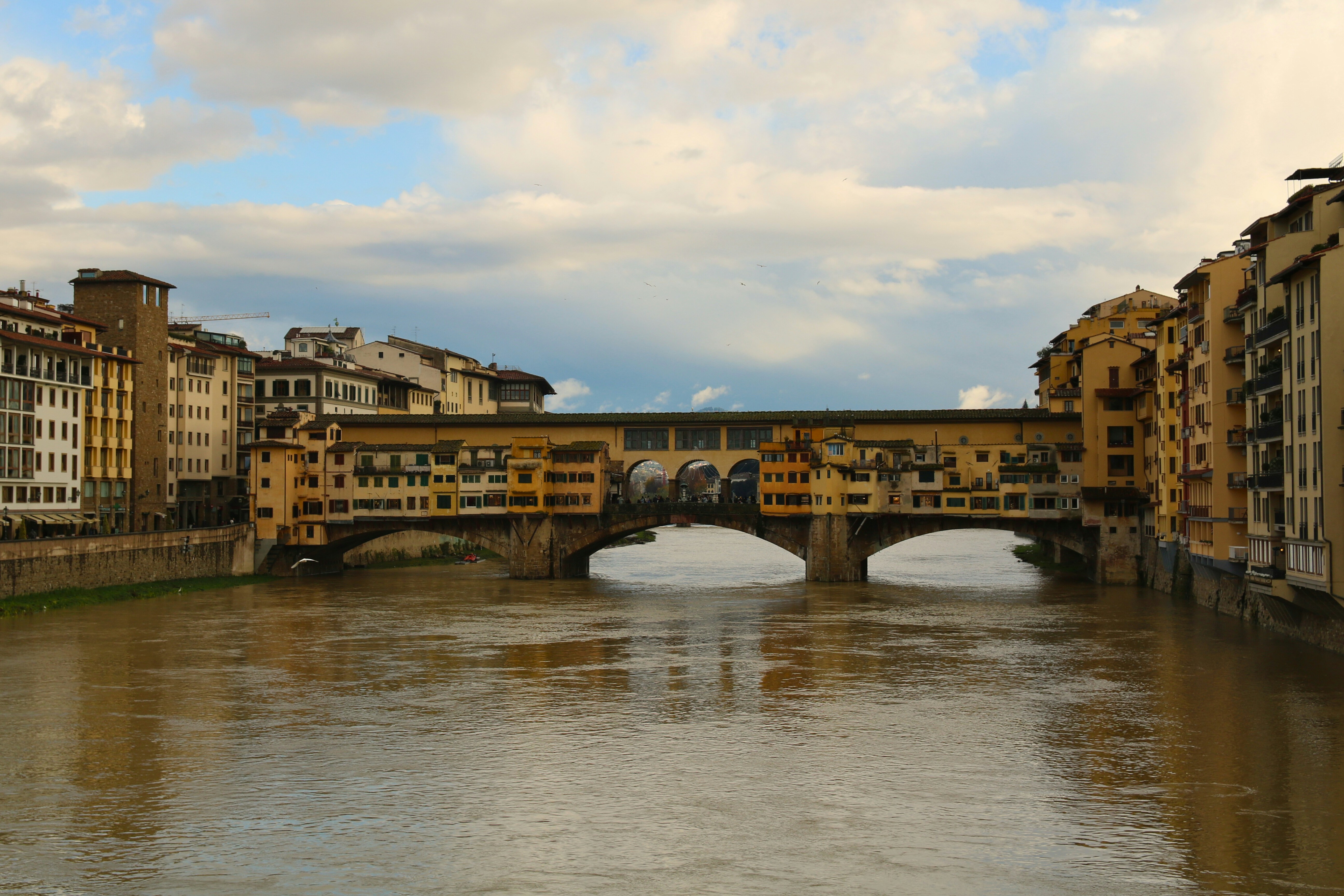 Photo by brunafisantos