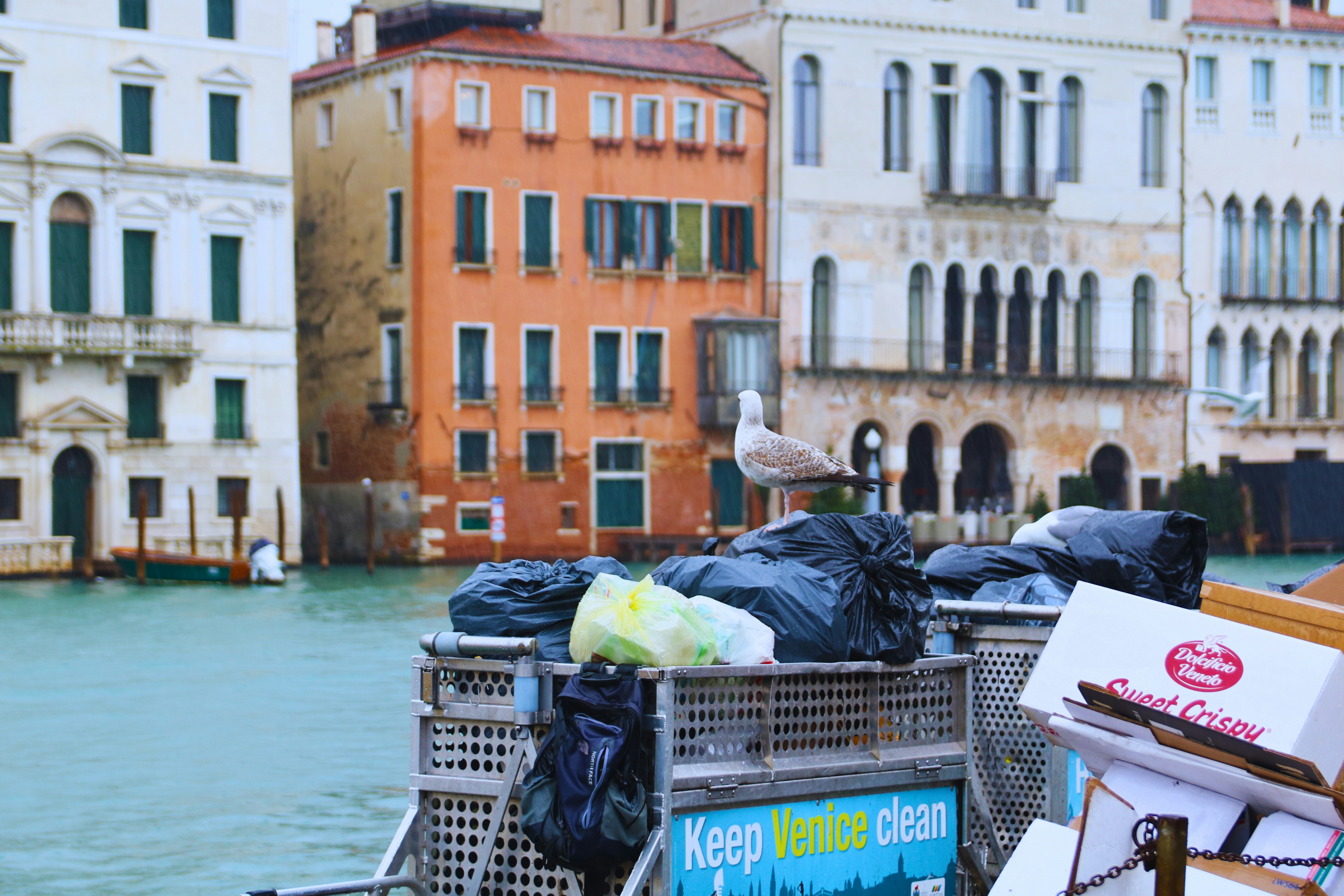 Spendere è già votare: come ogni acquisto può diventare un atto politico