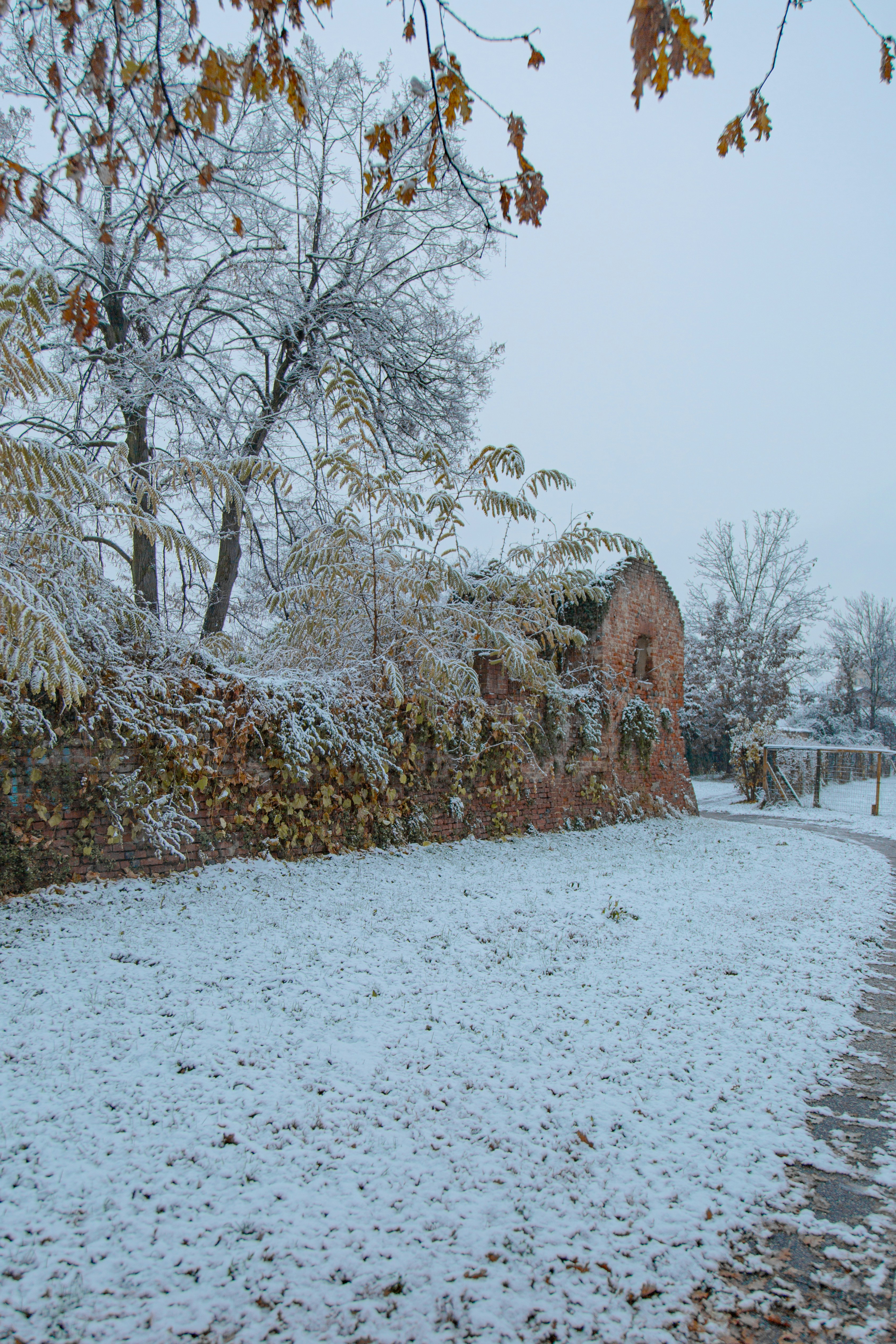 Photo by i_am_simoesse