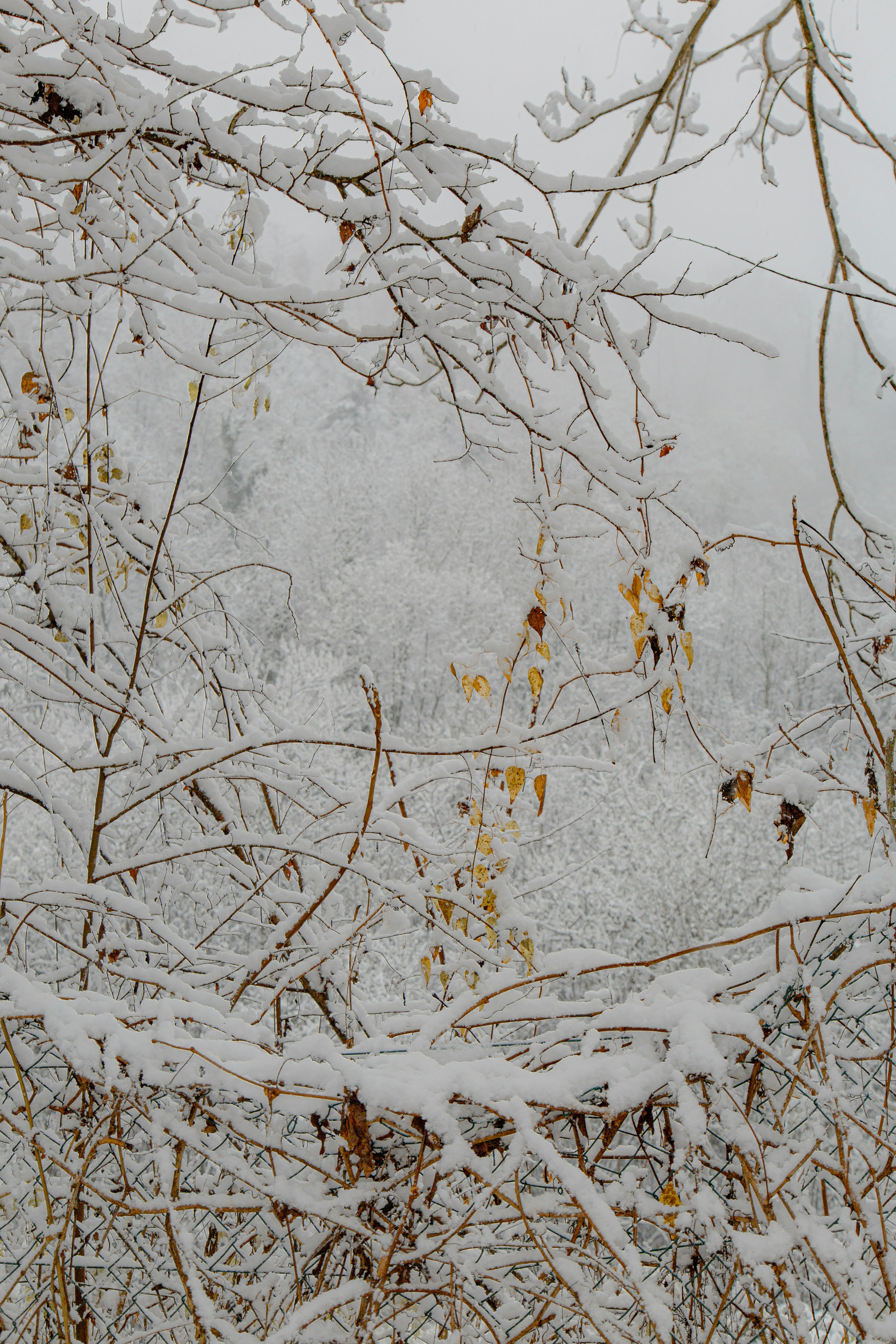 Photo by i_am_simoesse